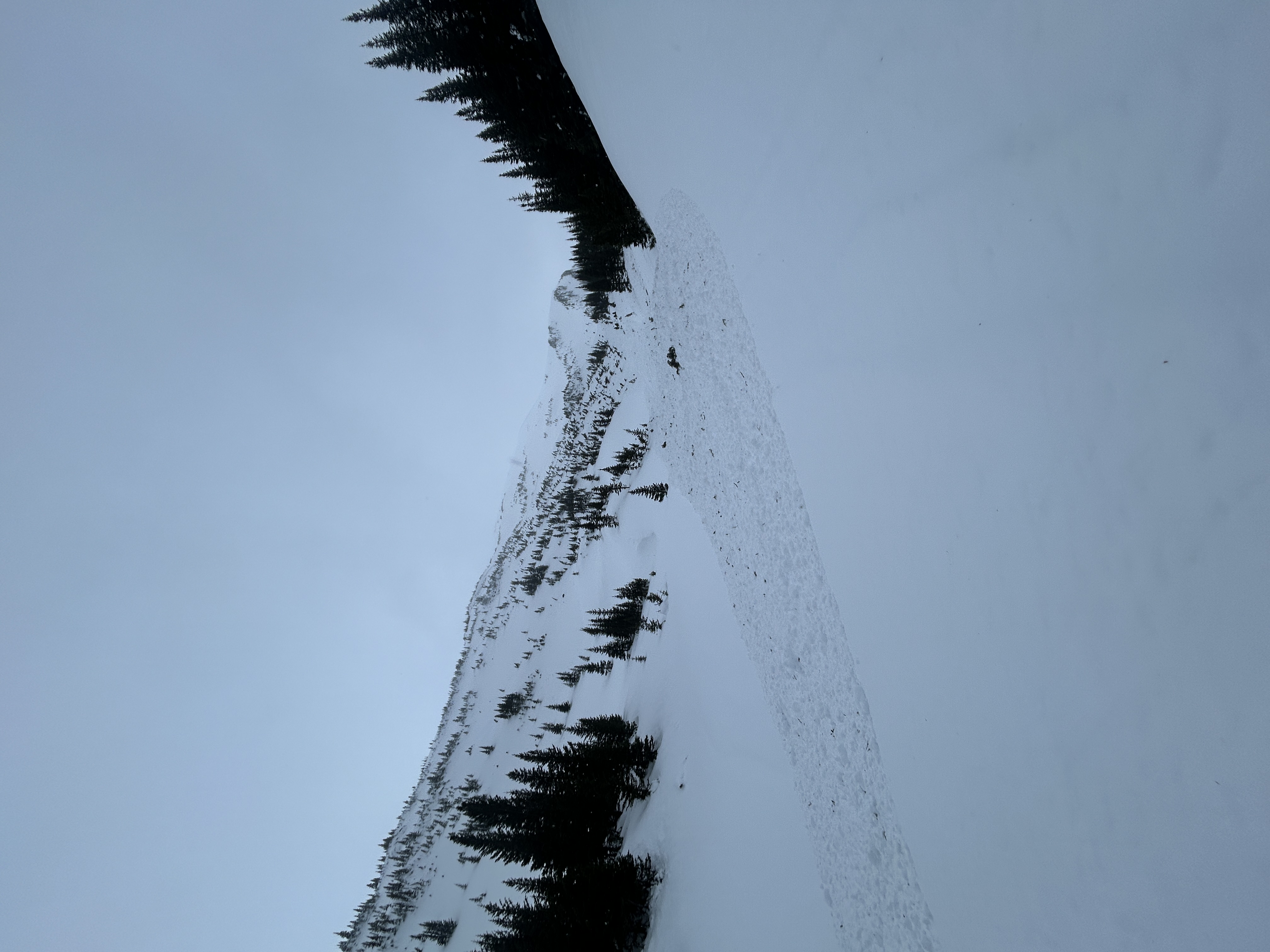 Observation photo