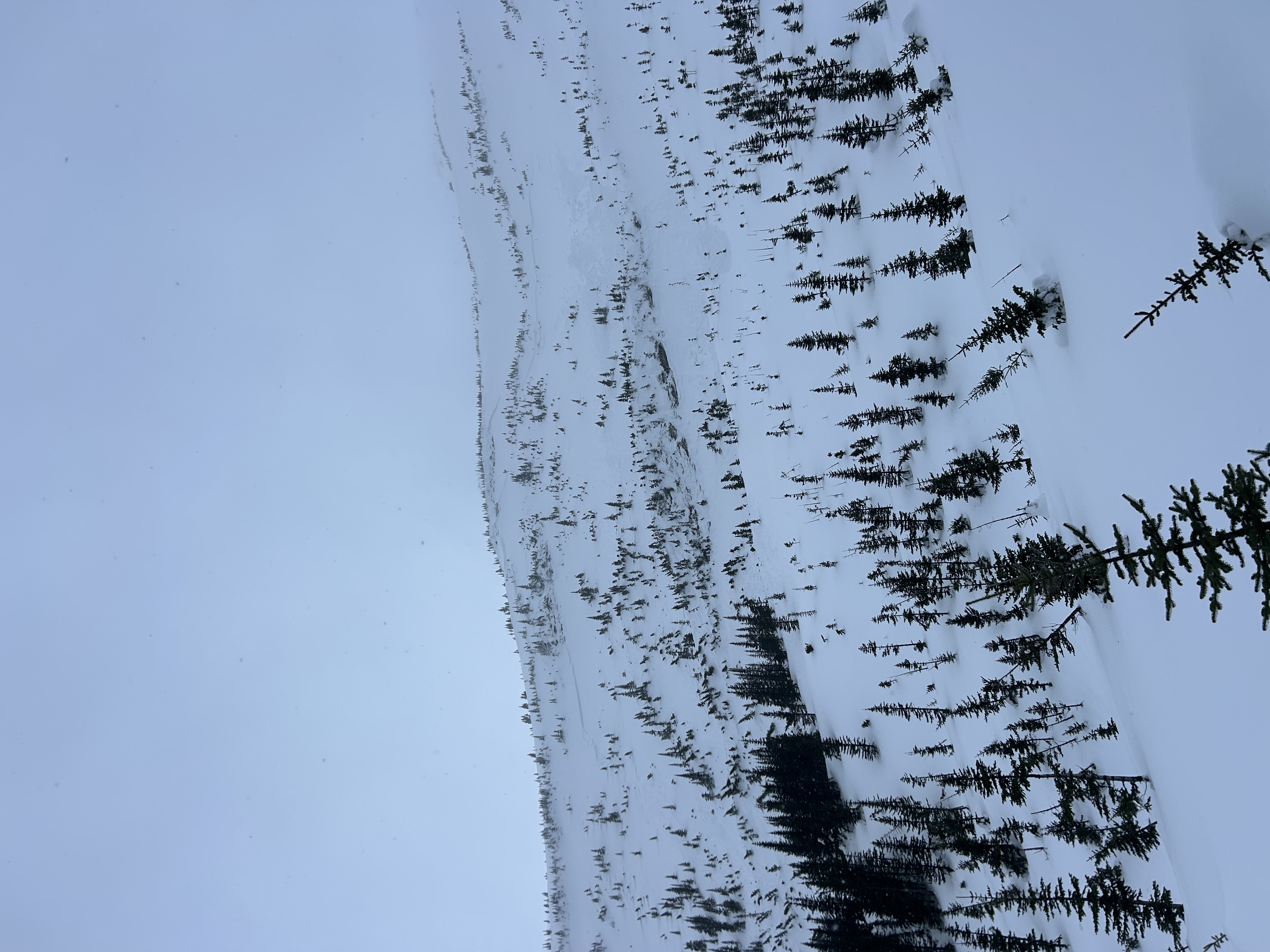 Observation photo