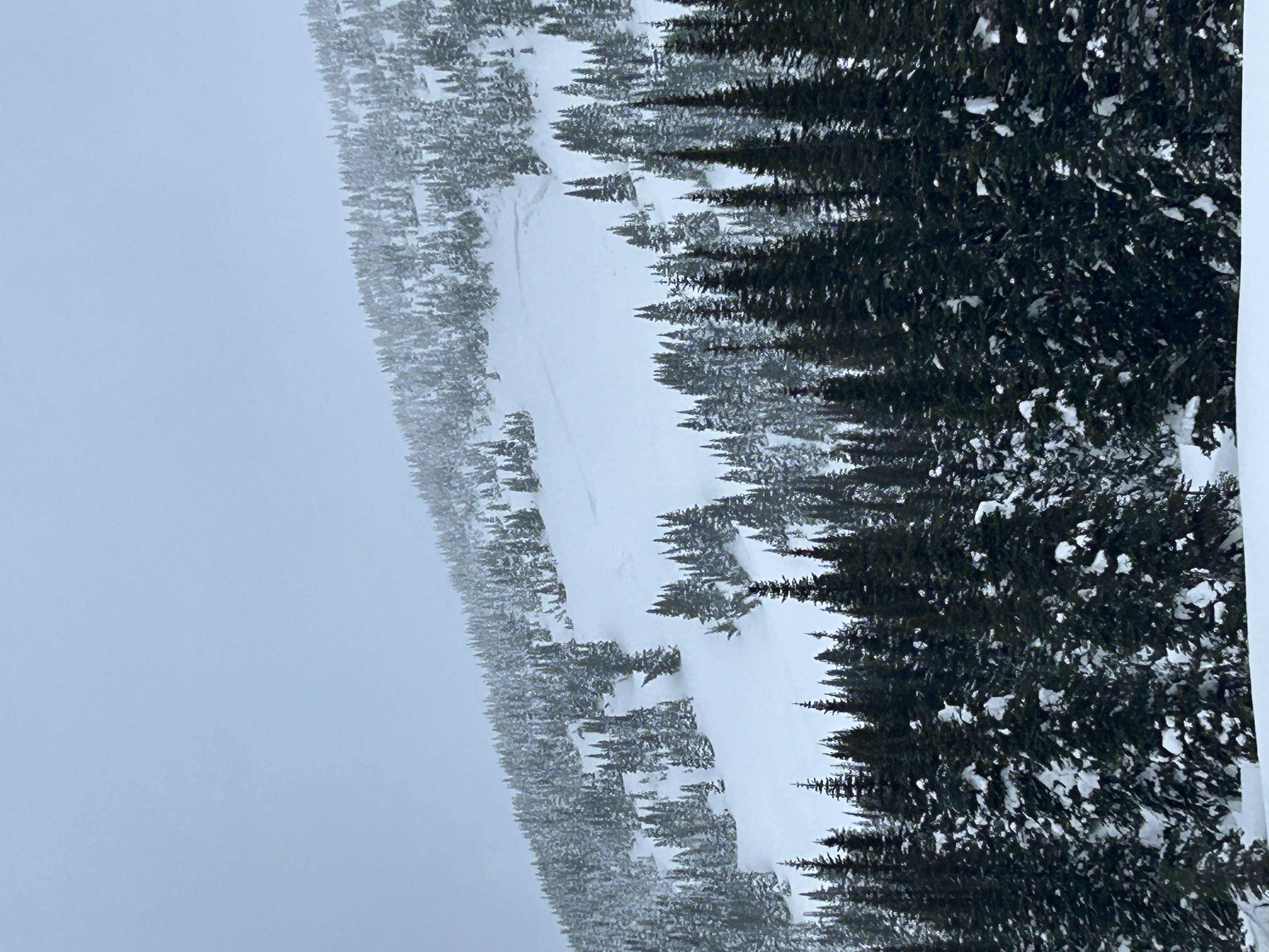 Observation photo