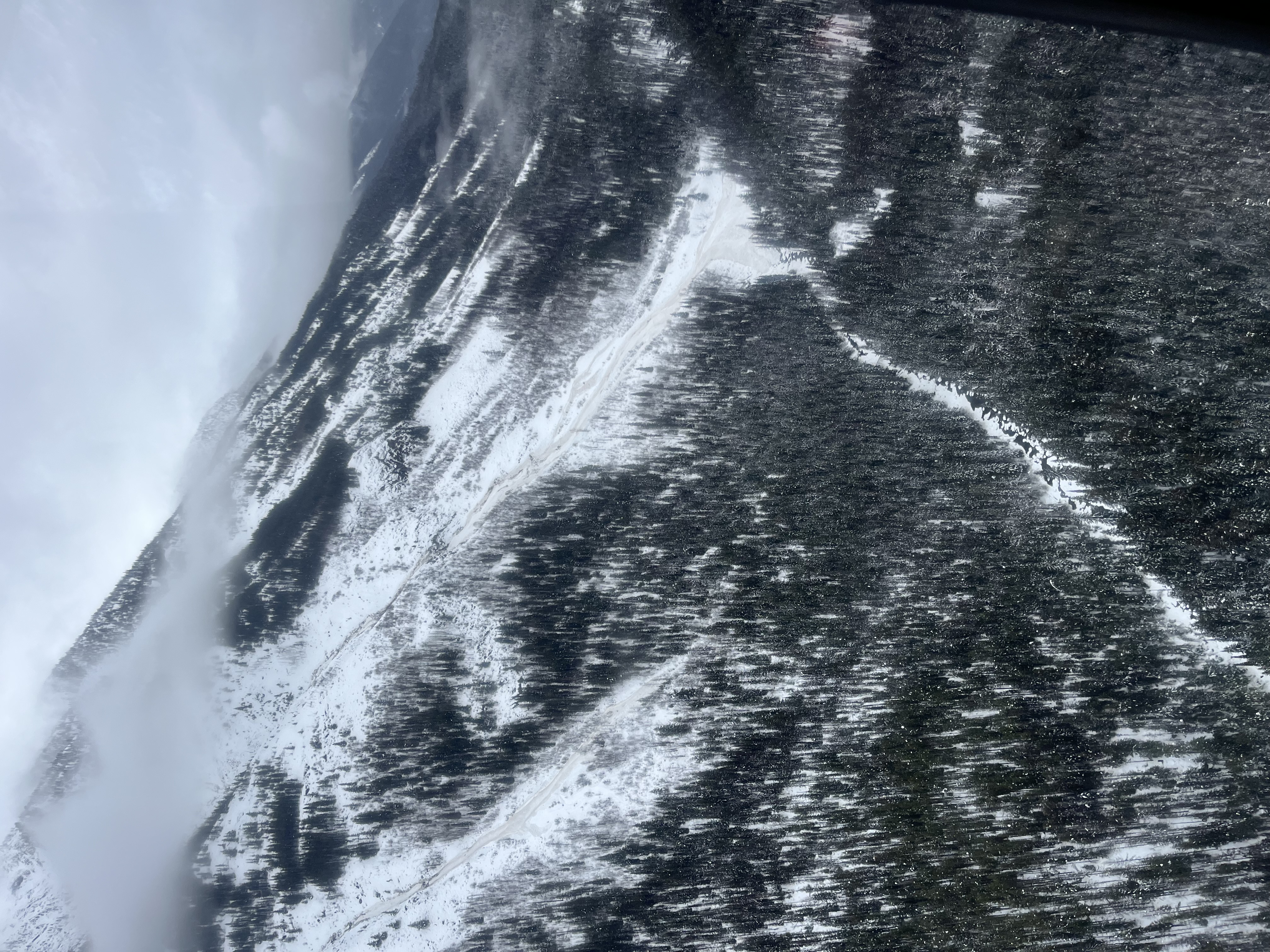 Observation photo