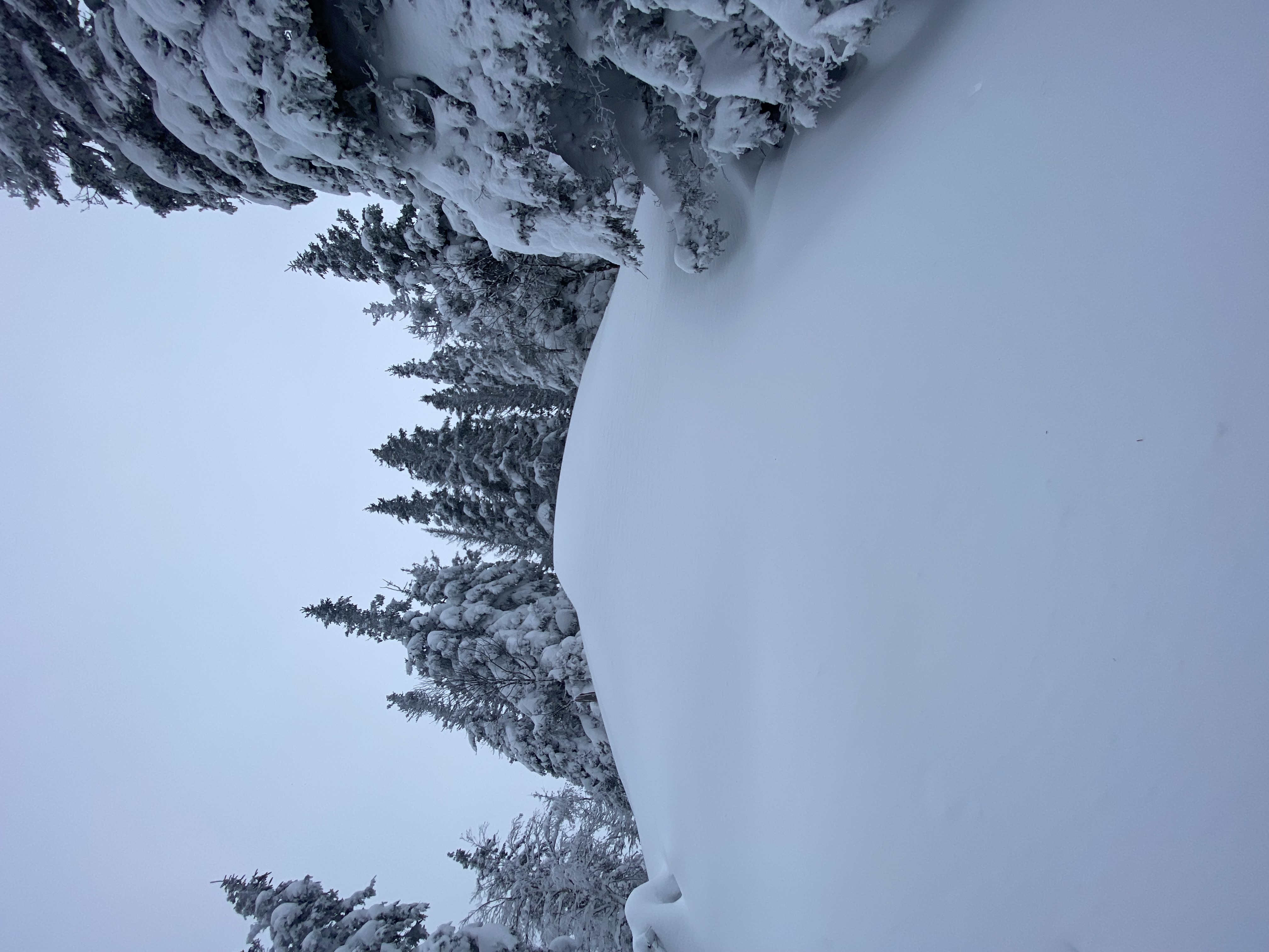 Observation photo