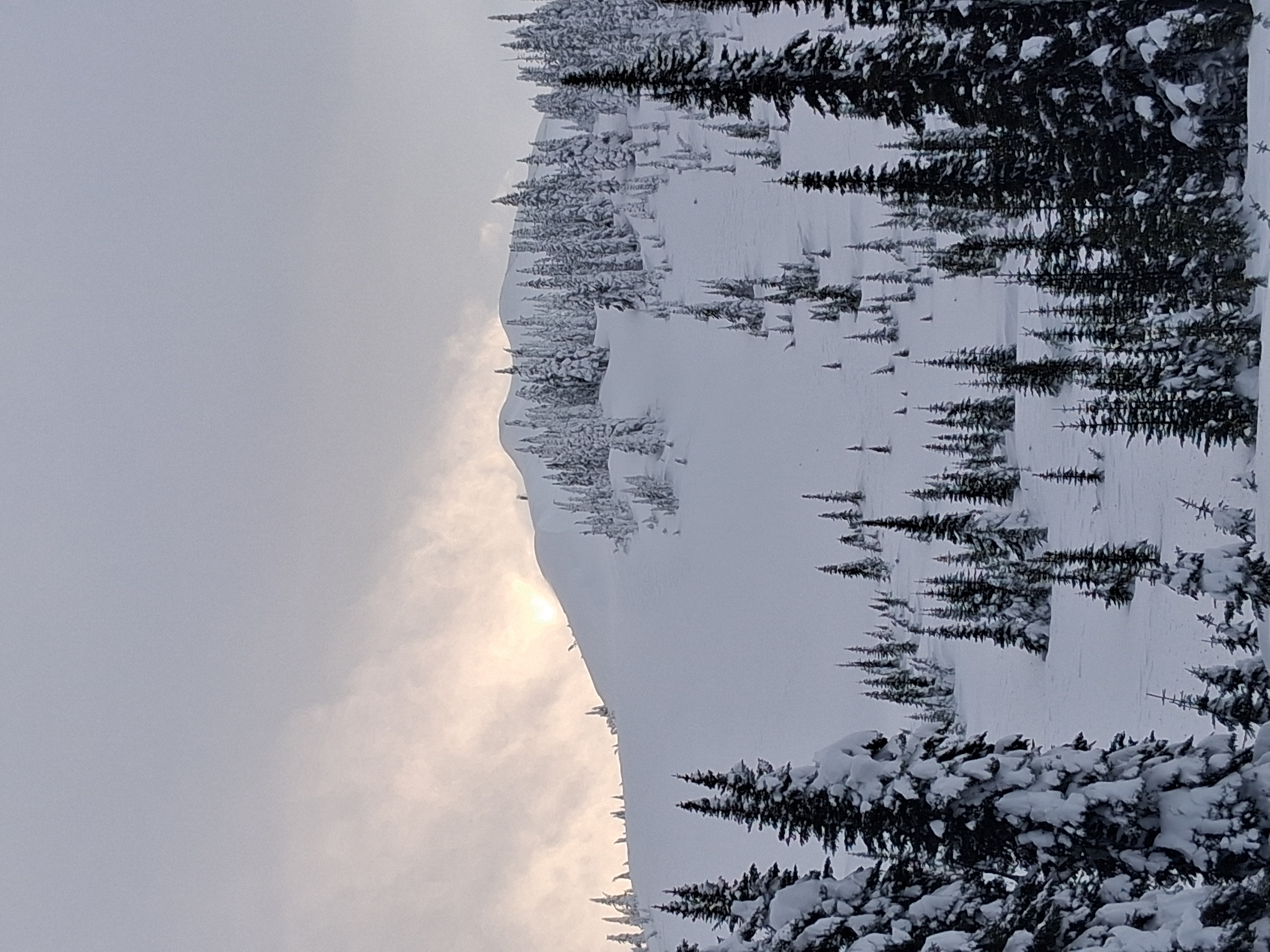 Observation photo