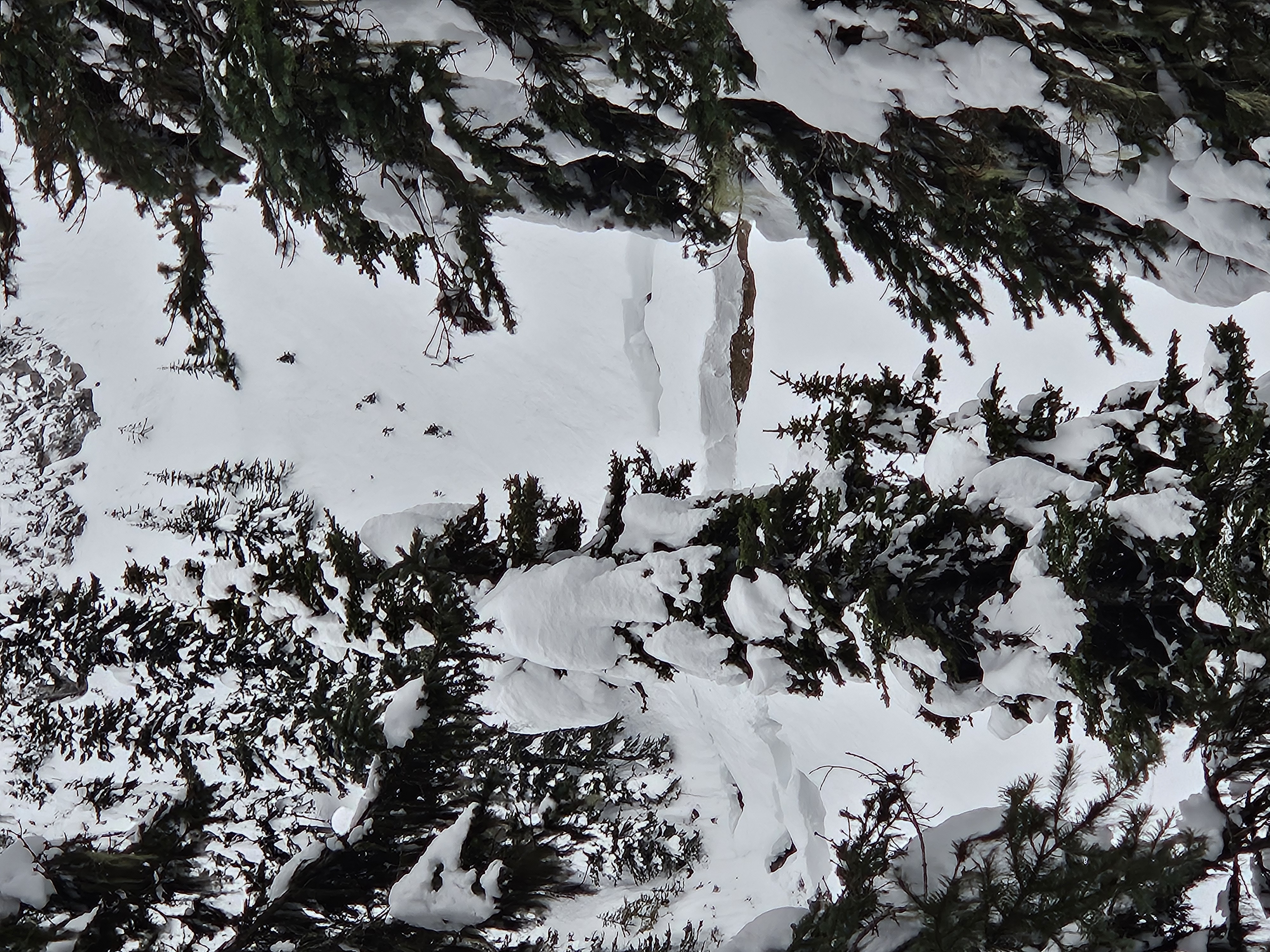 Observation photo