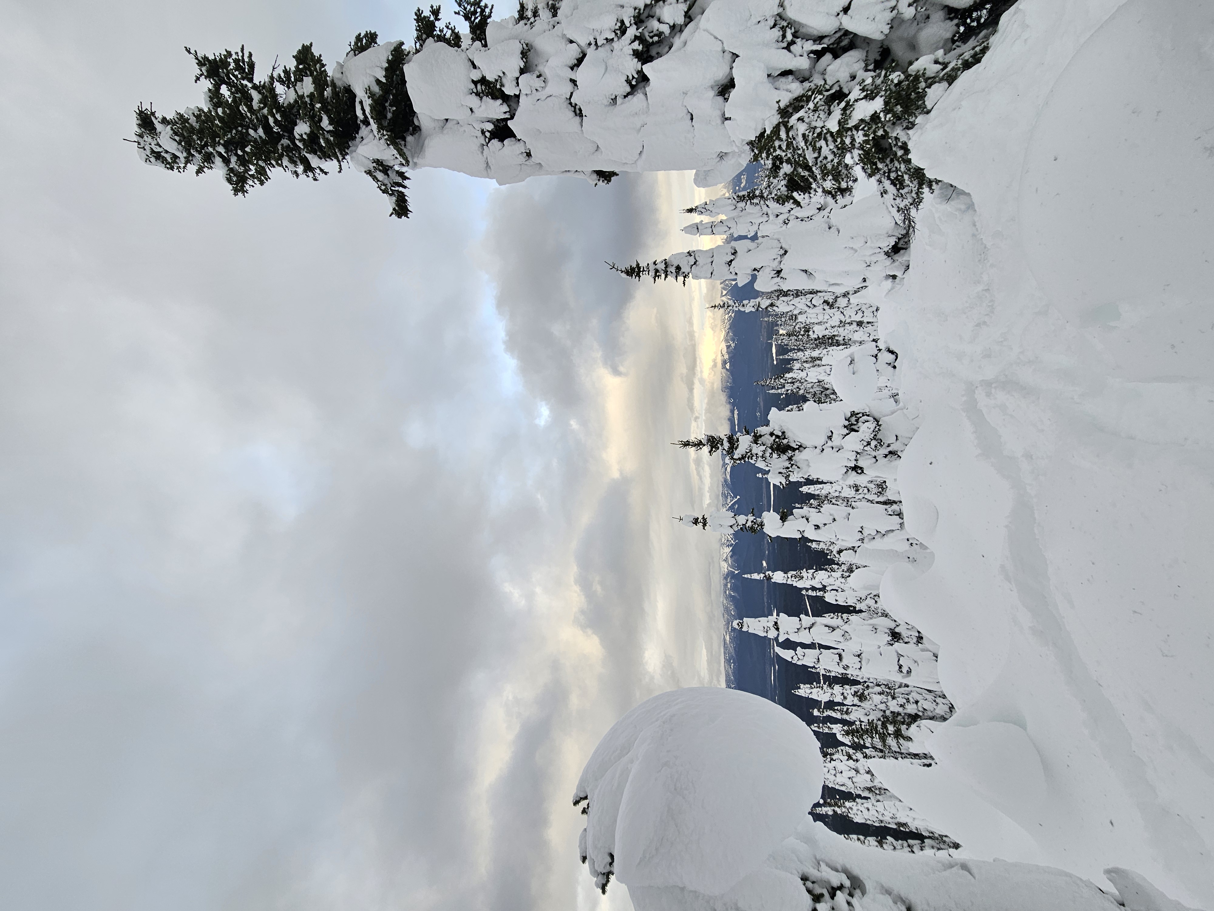 Observation photo