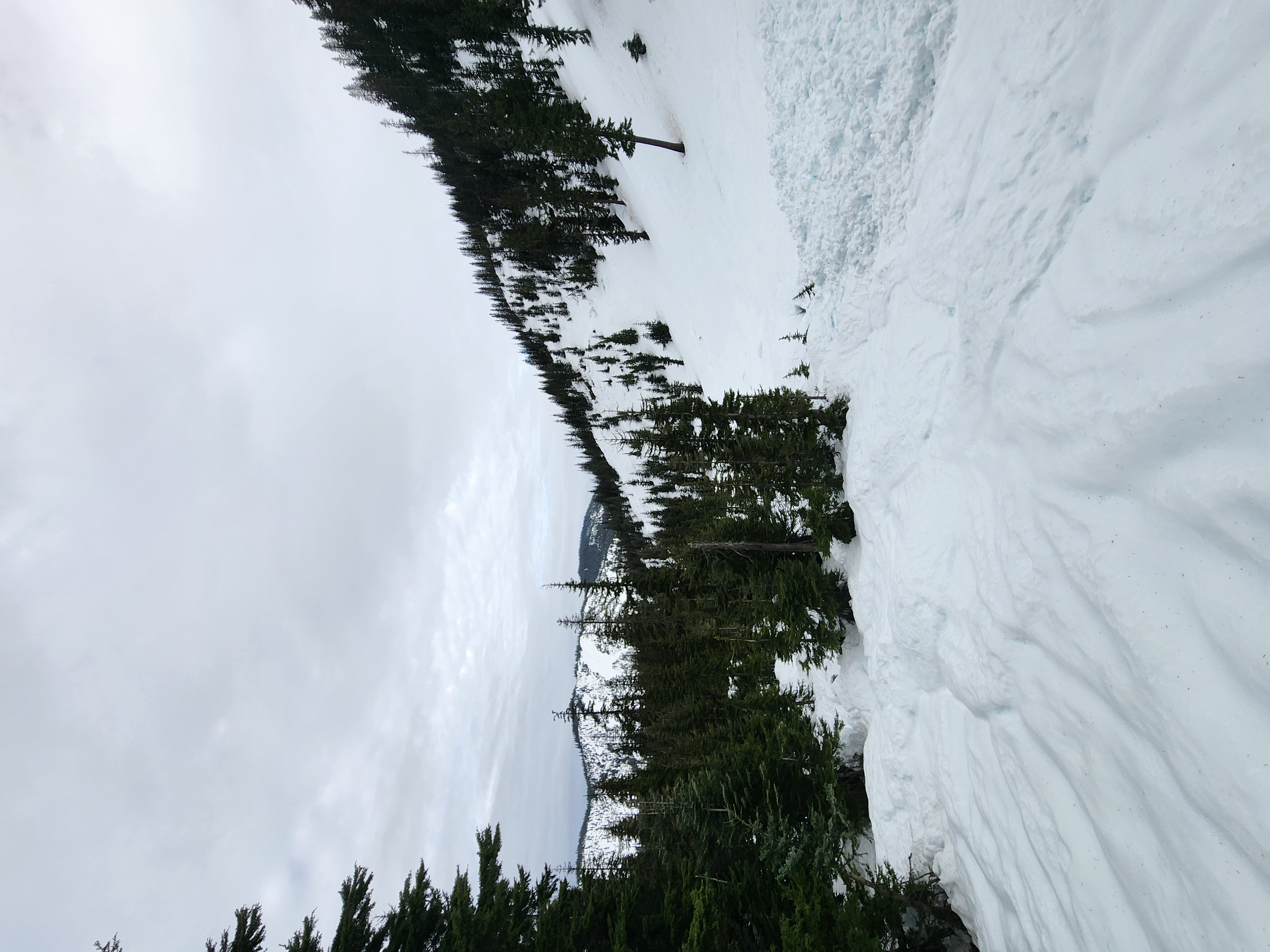 Observation photo