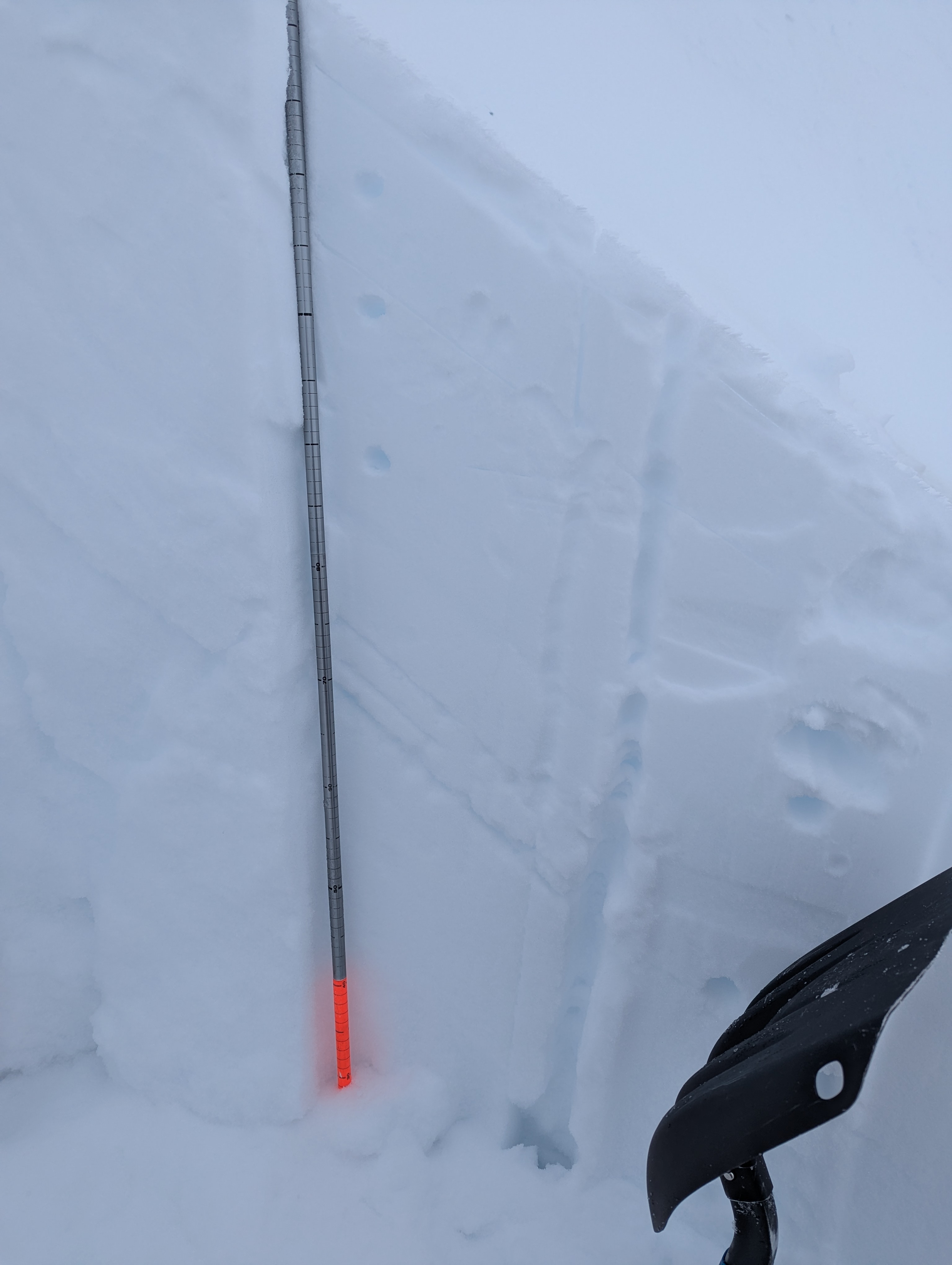 Observation photo