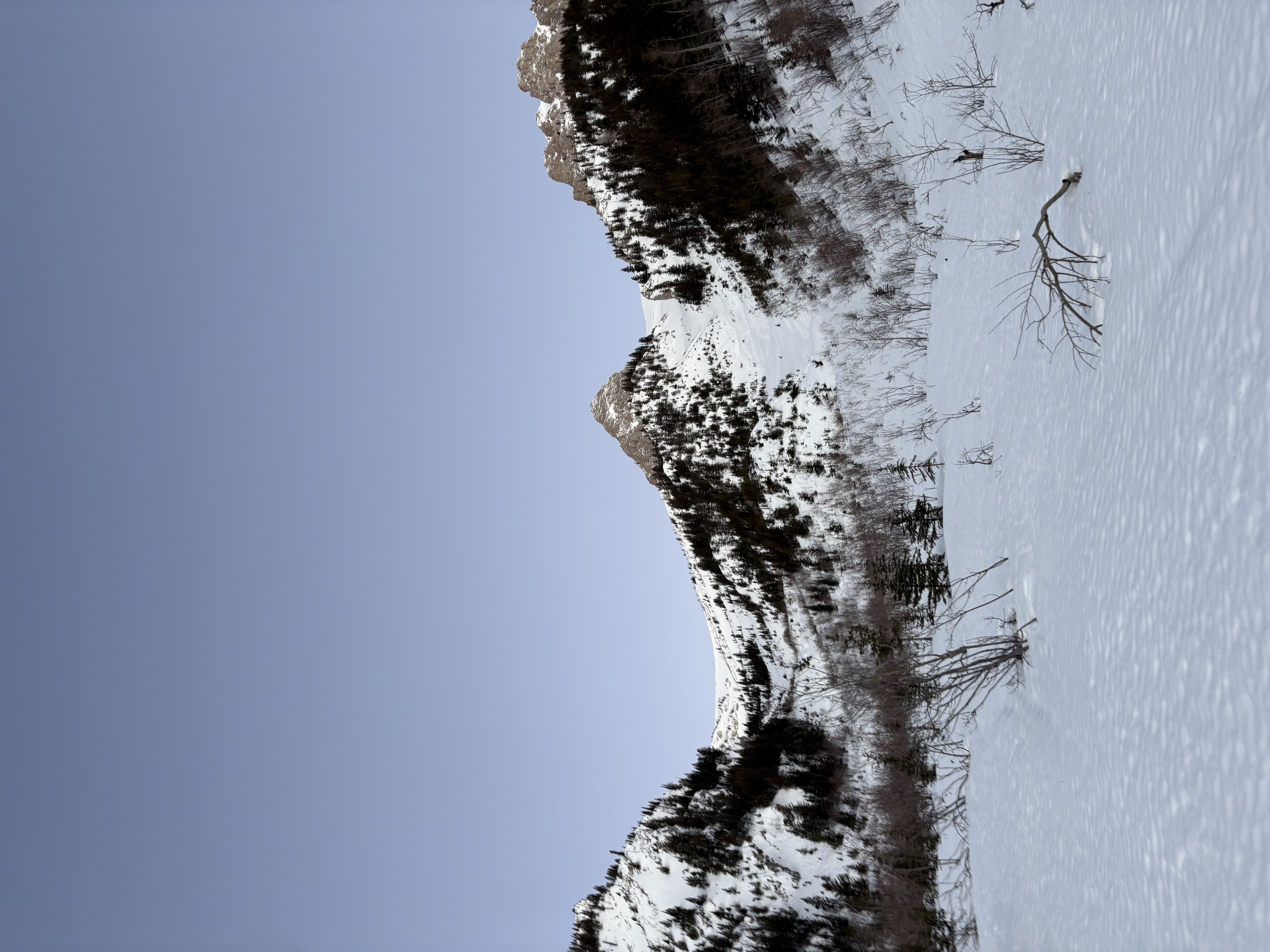 Observation photo