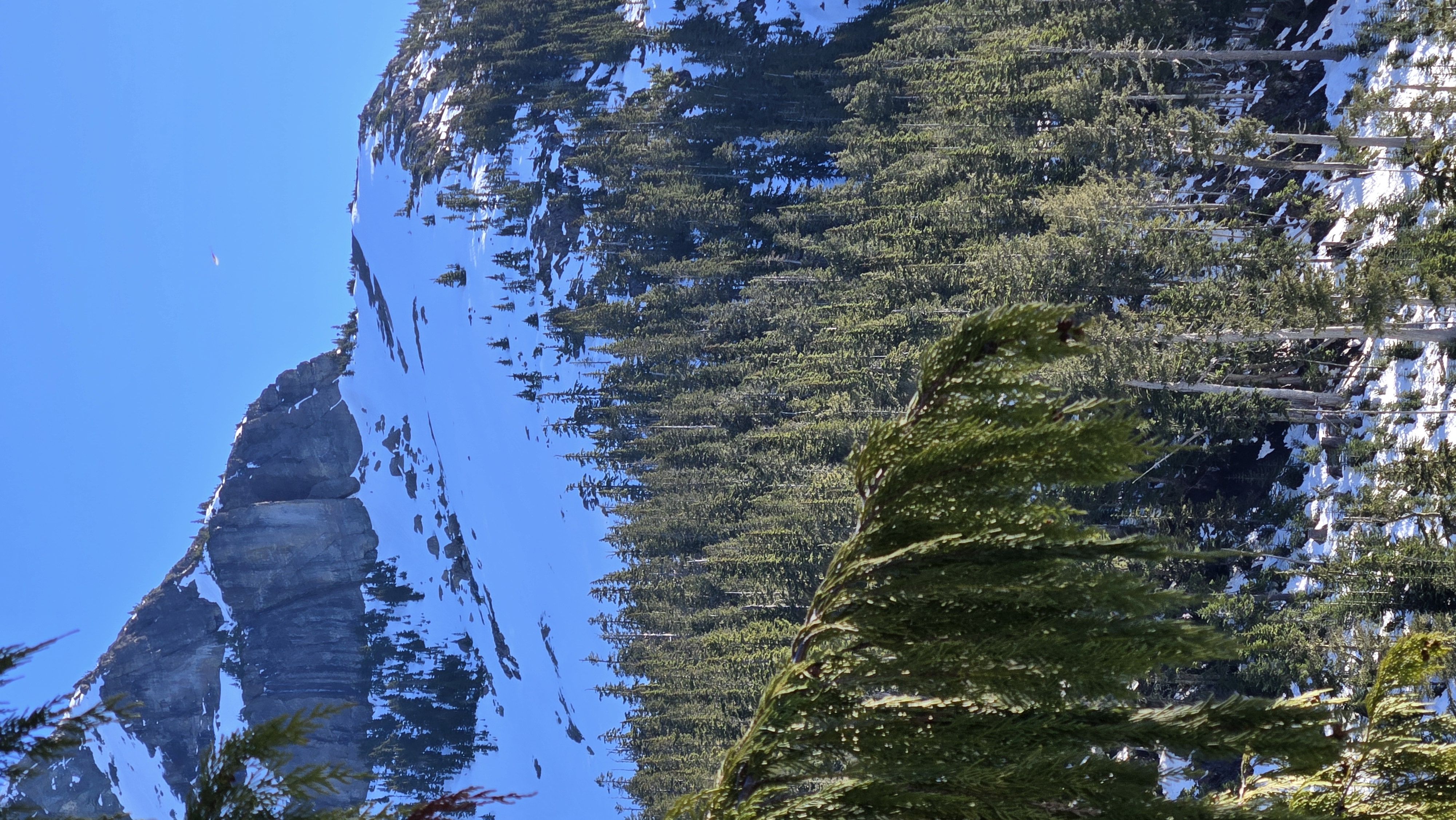 Observation photo