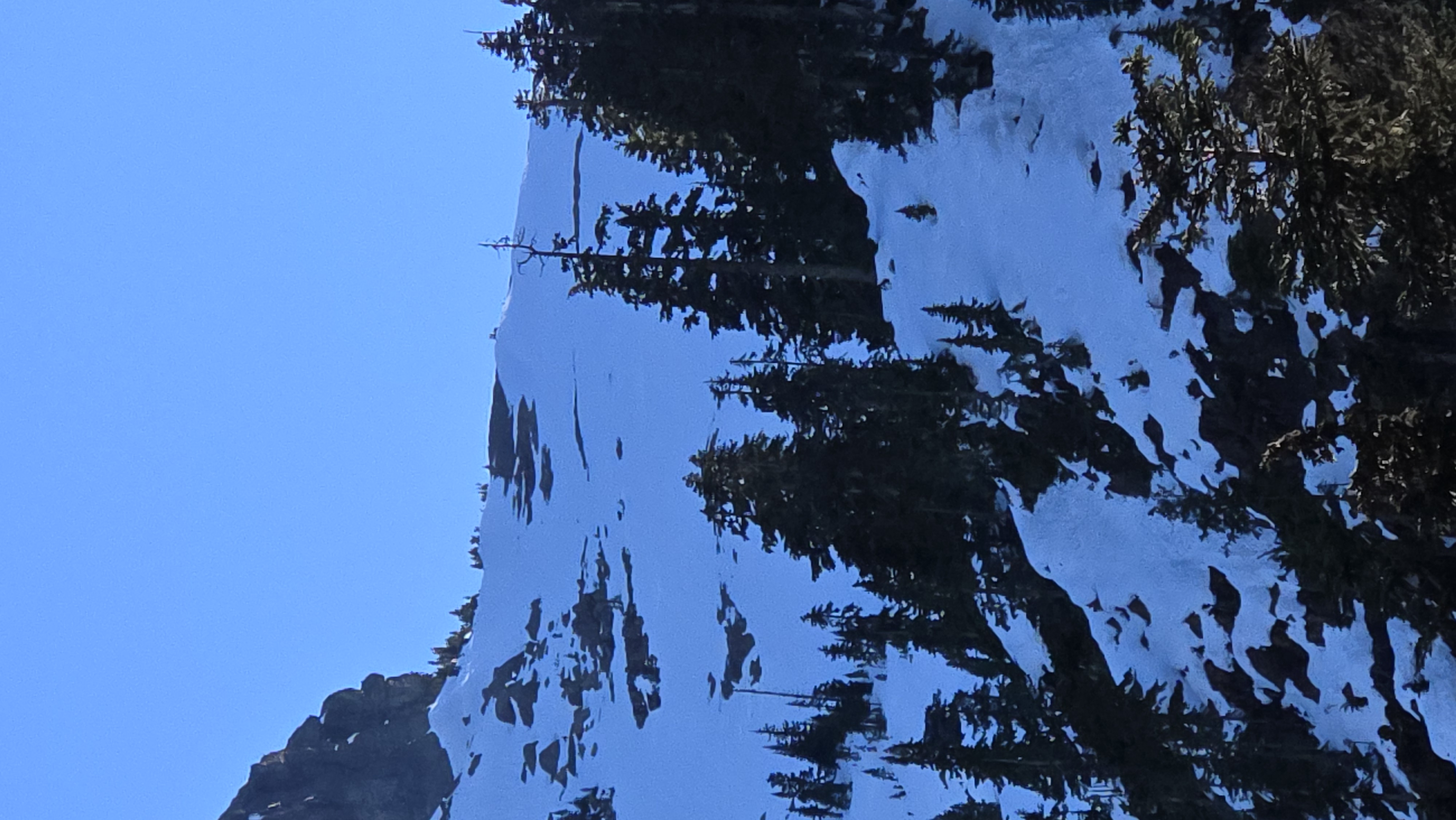 Observation photo