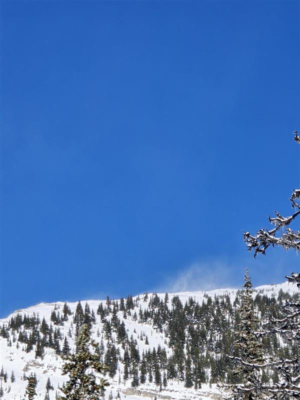 Observation photo