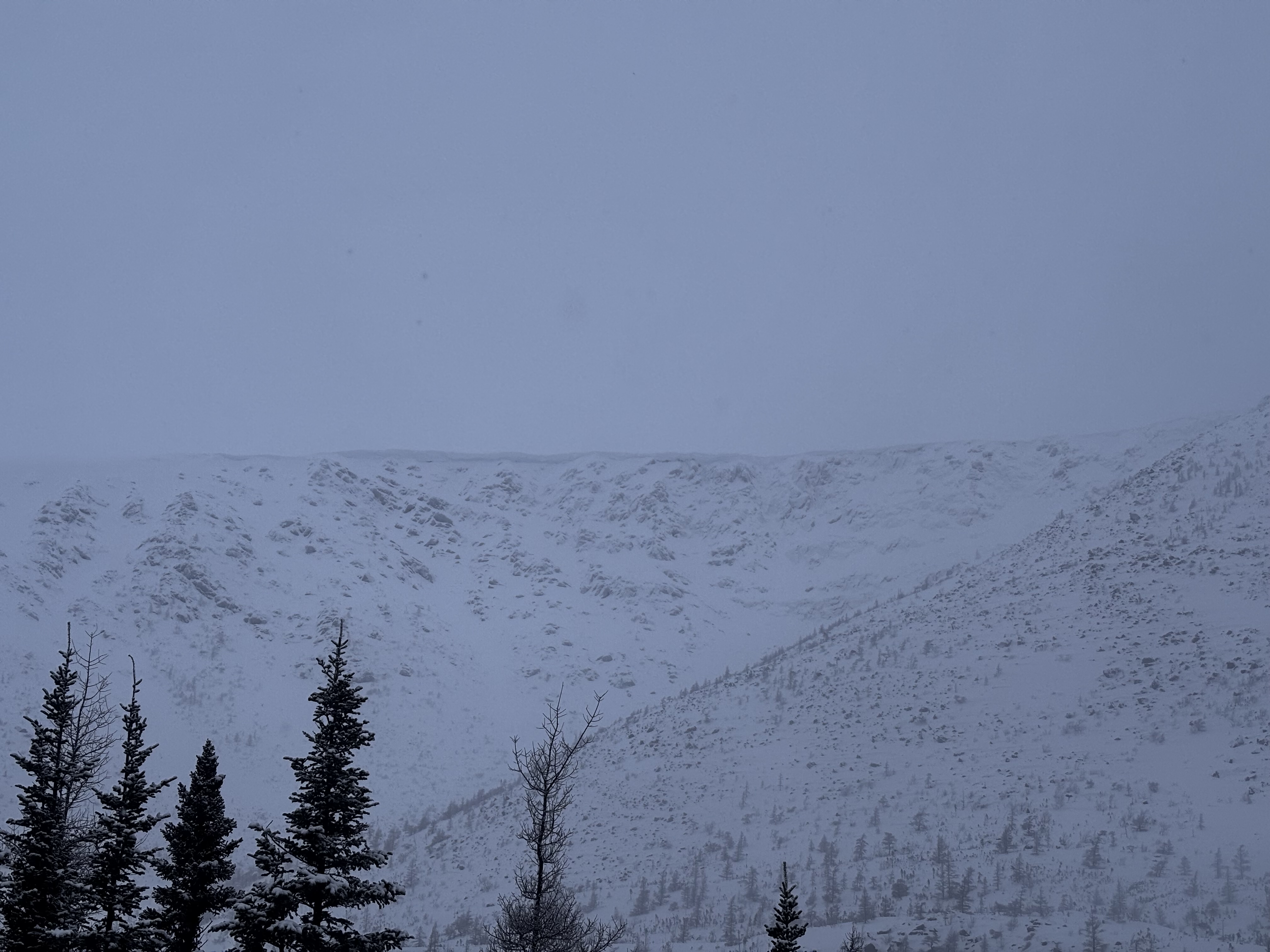Observation photo