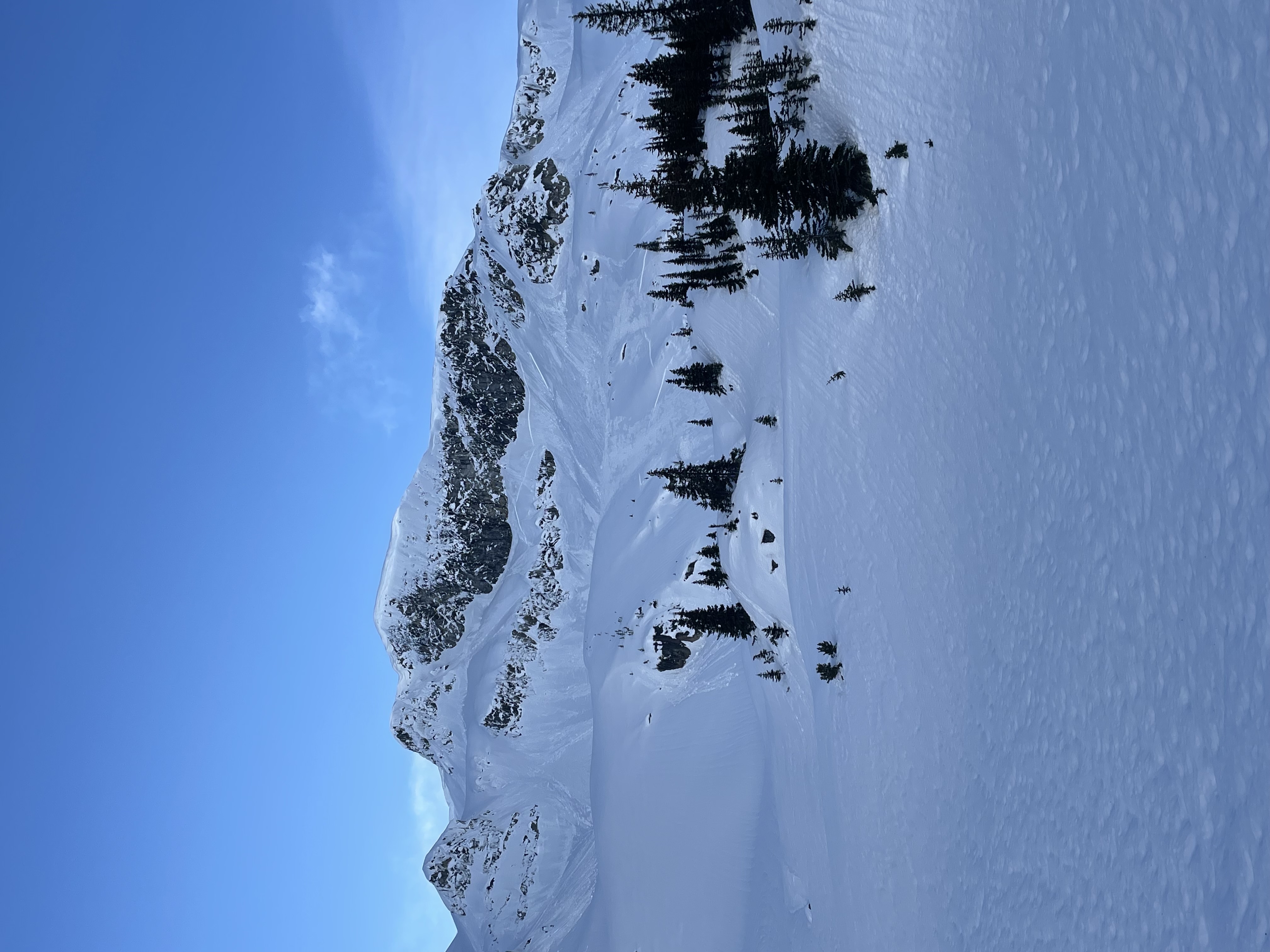 Observation photo