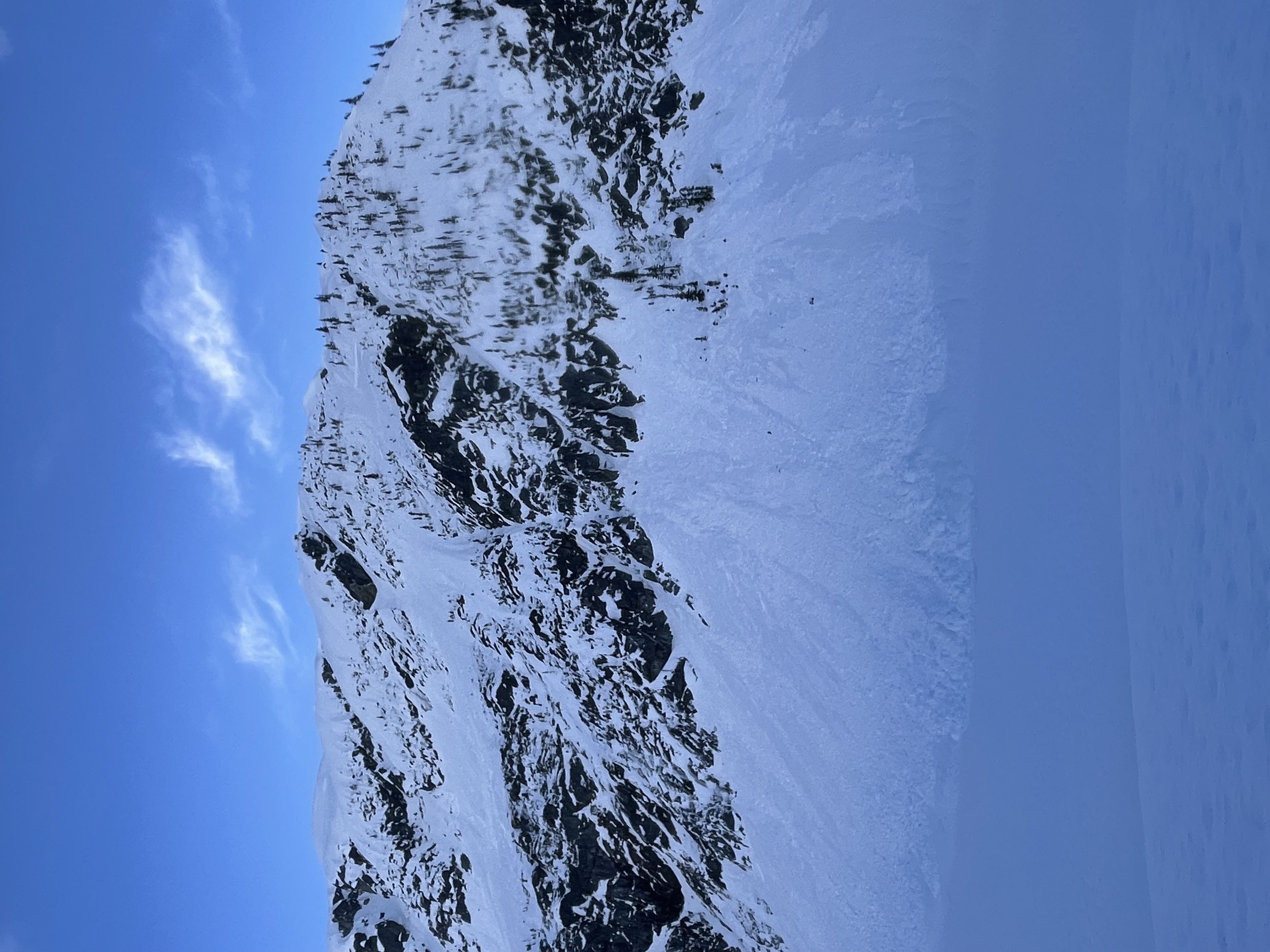 Observation photo