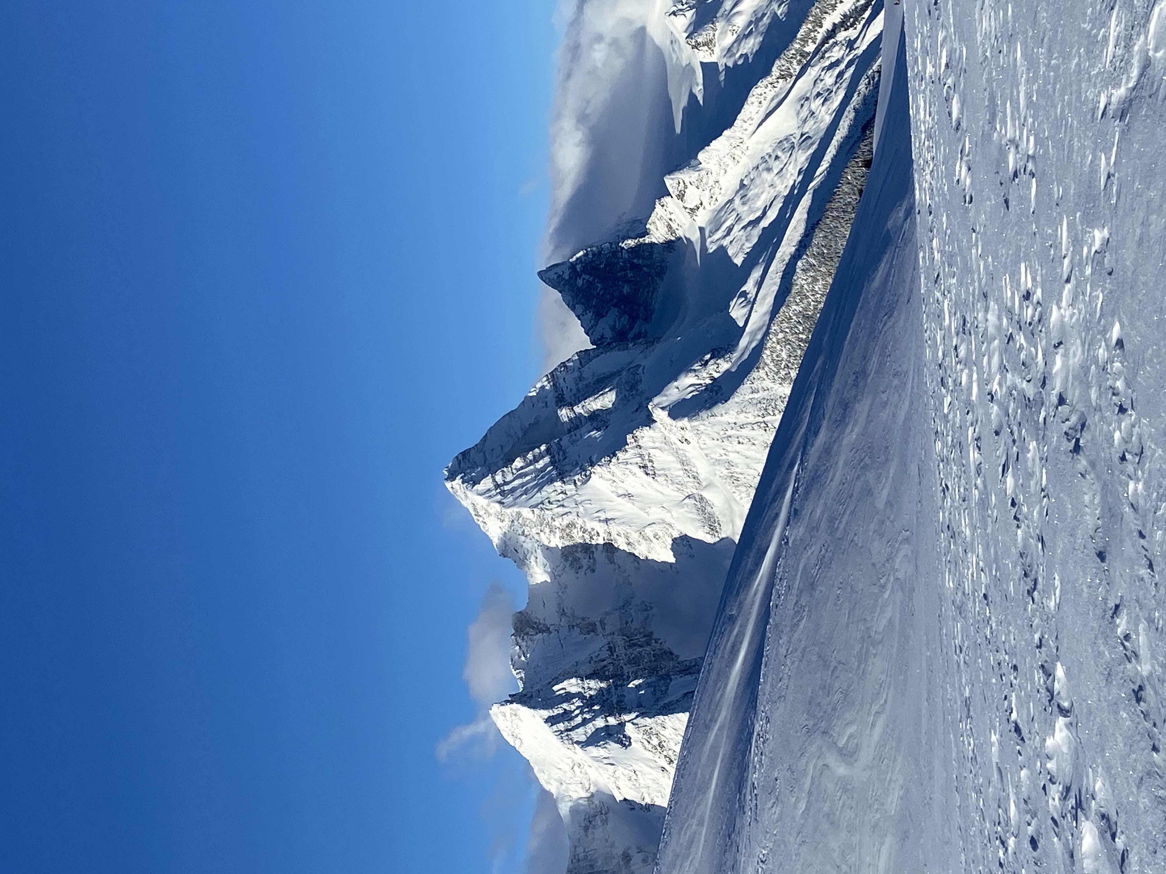 Observation photo