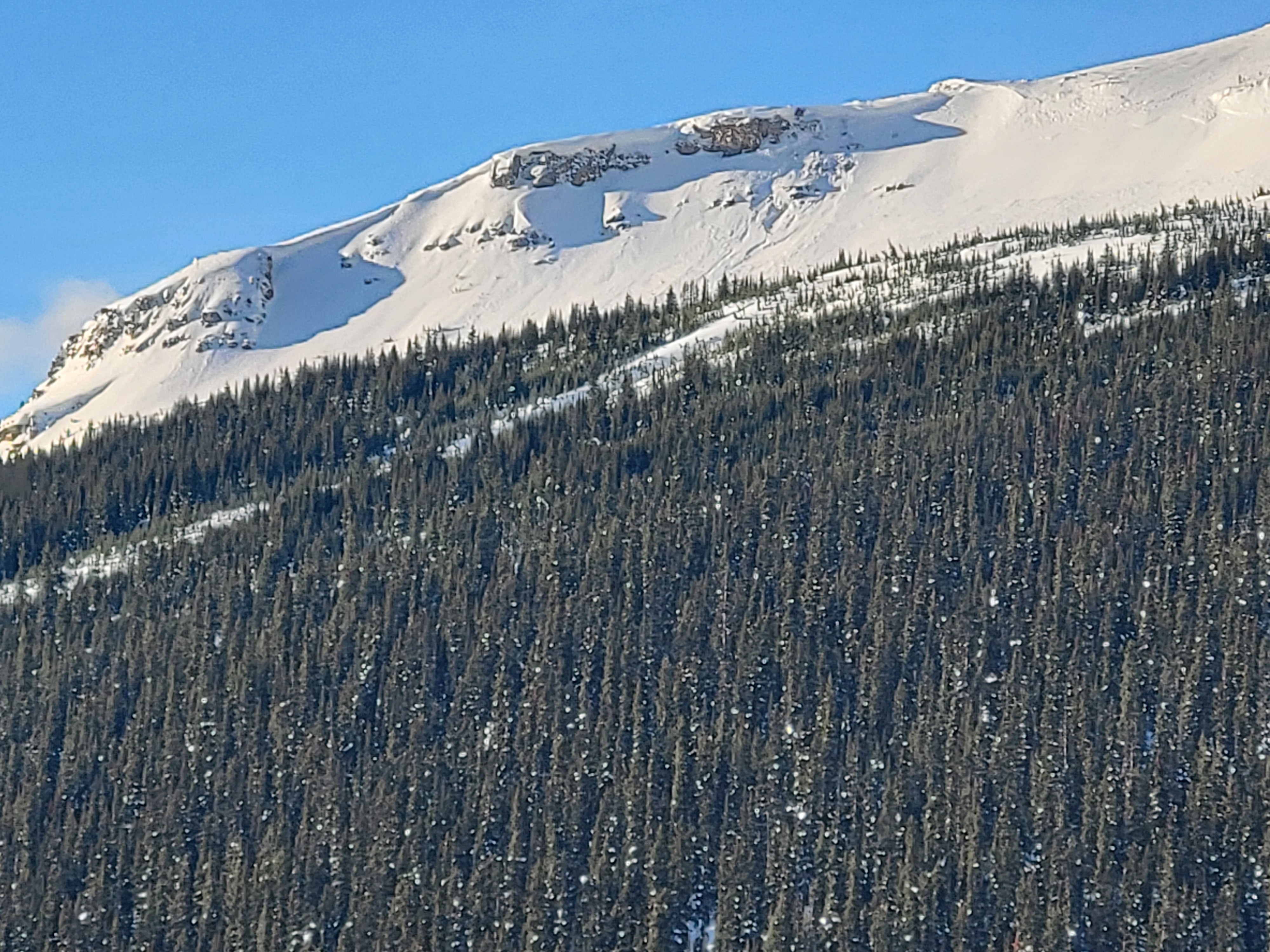 Observation photo