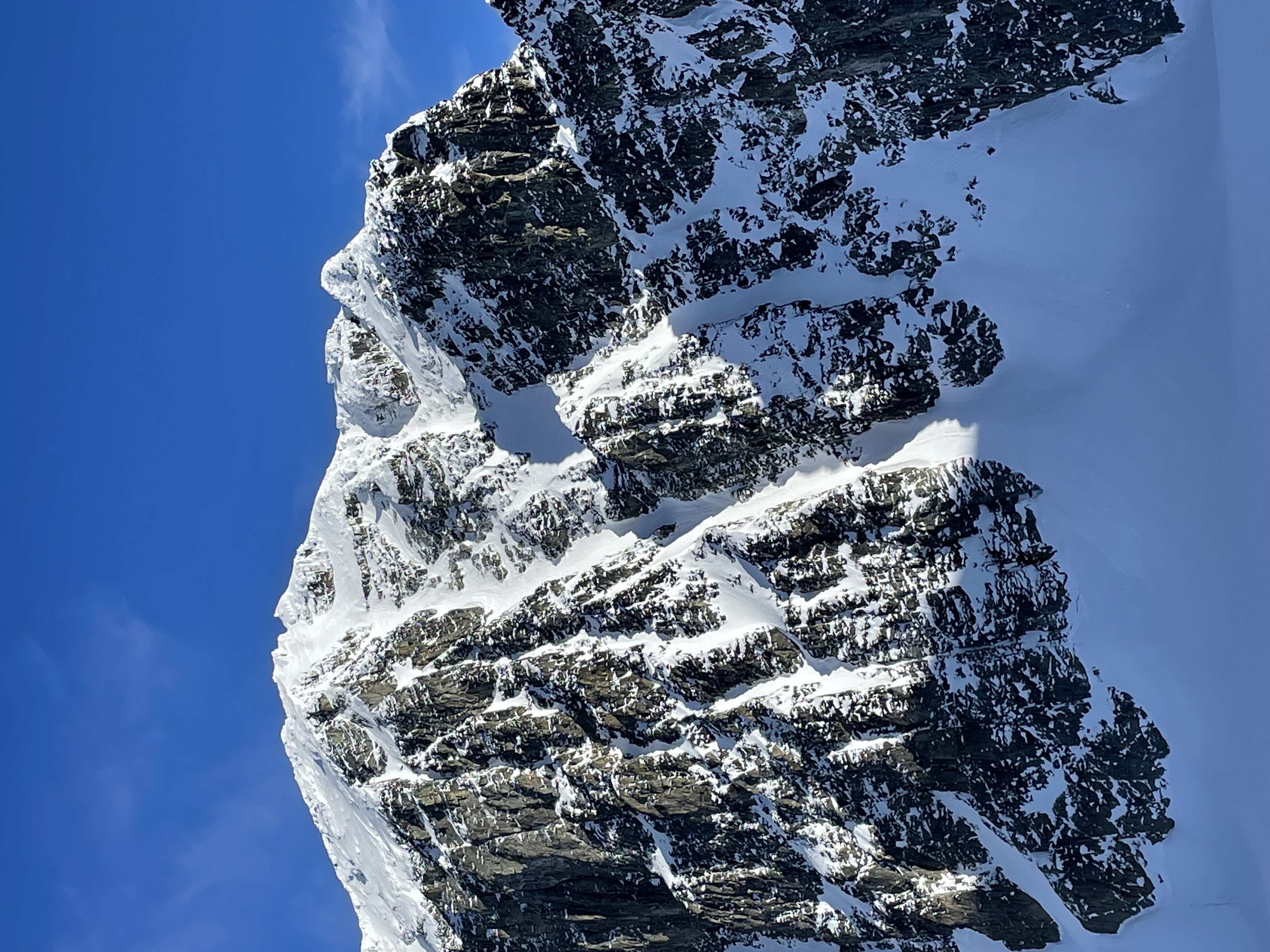 Observation photo