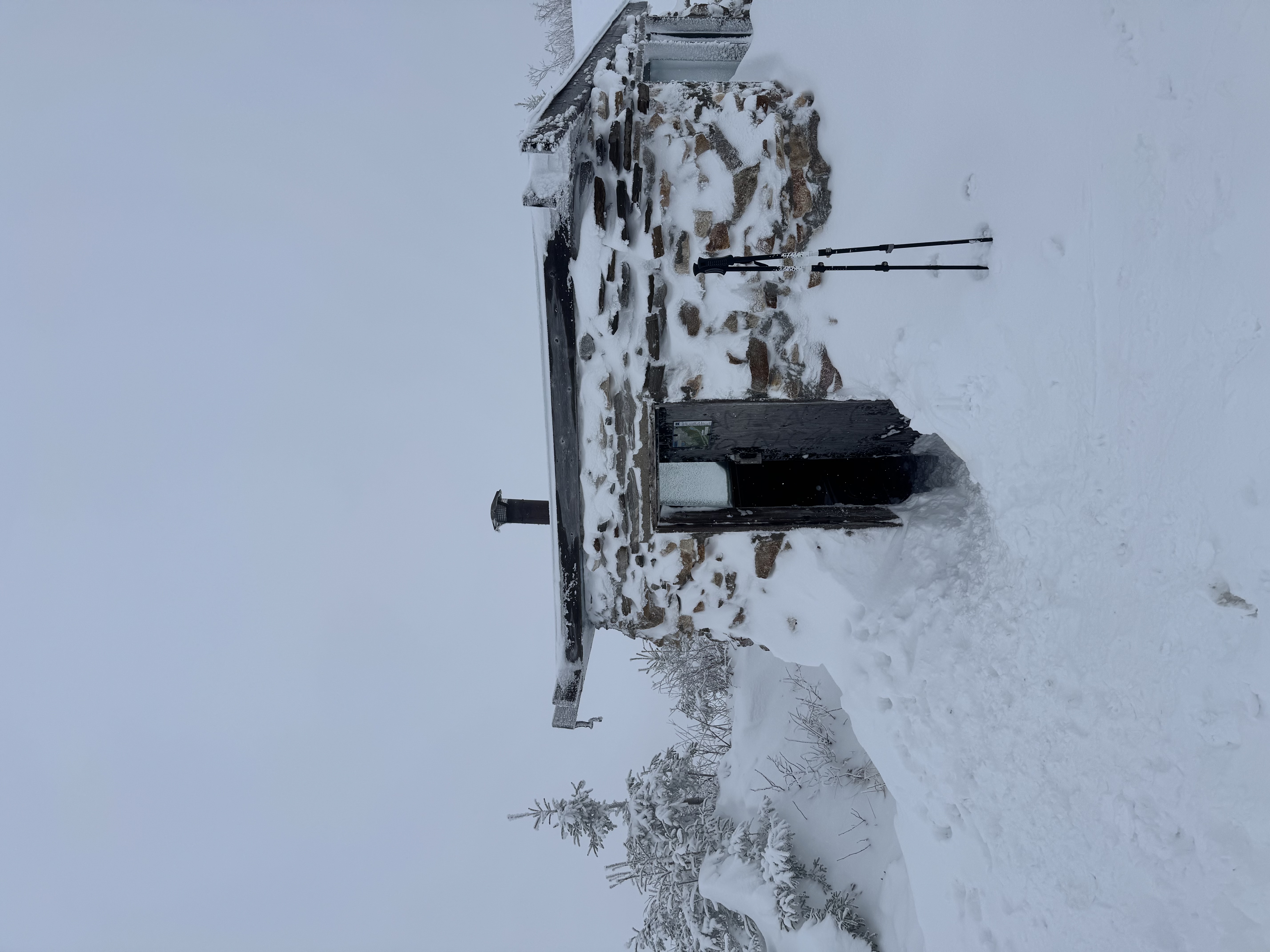 Observation photo