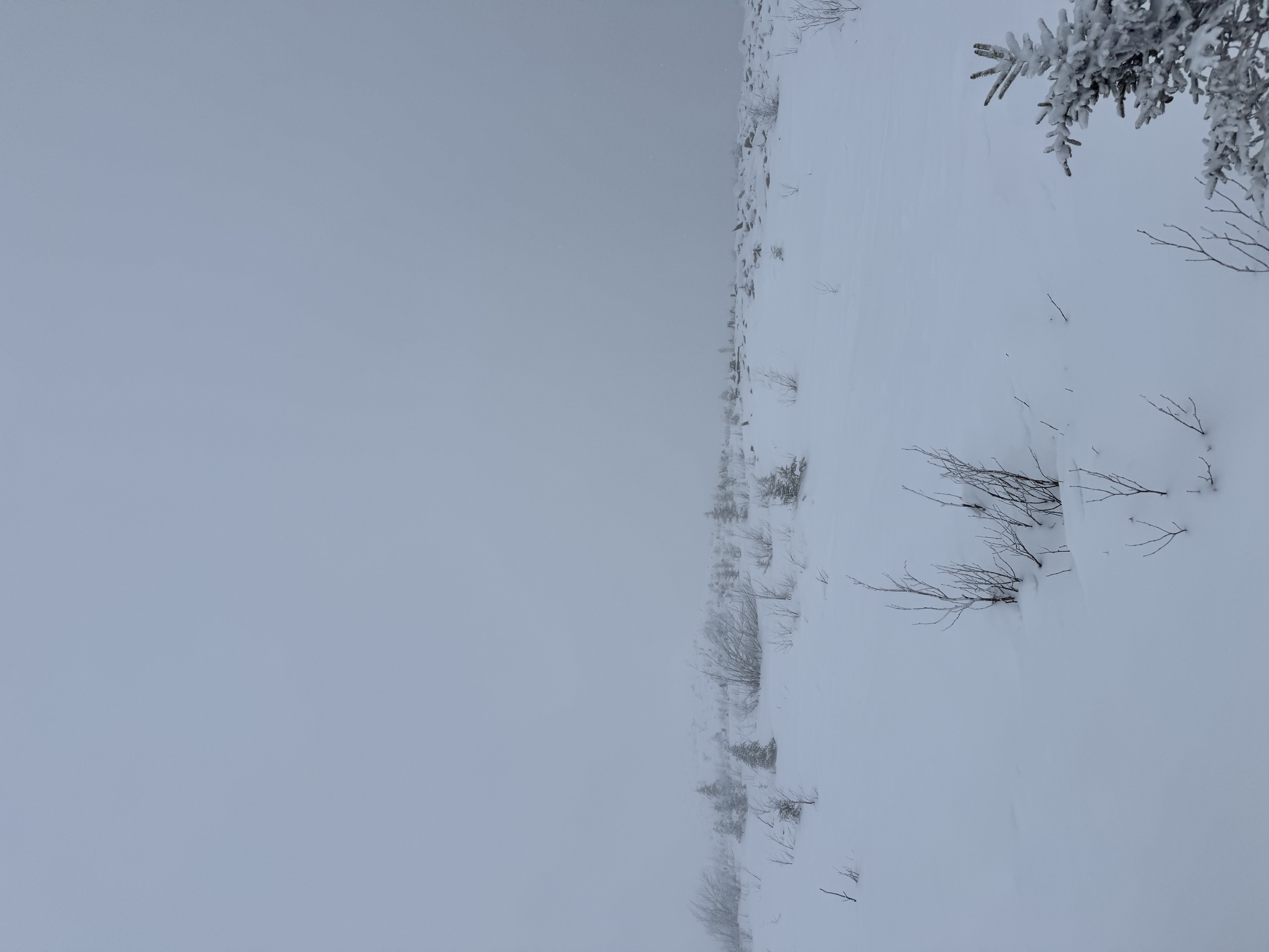 Observation photo