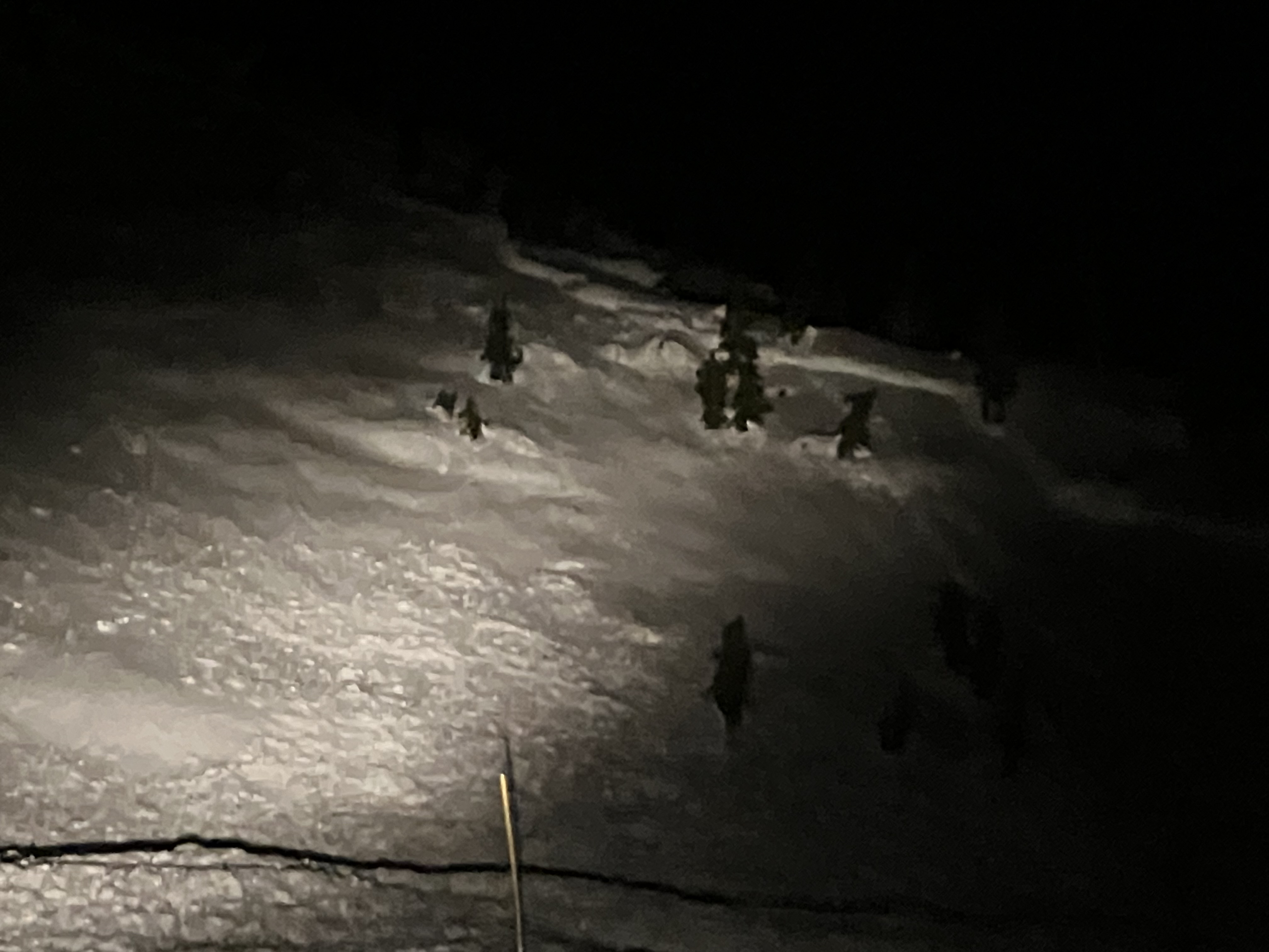 Observation photo