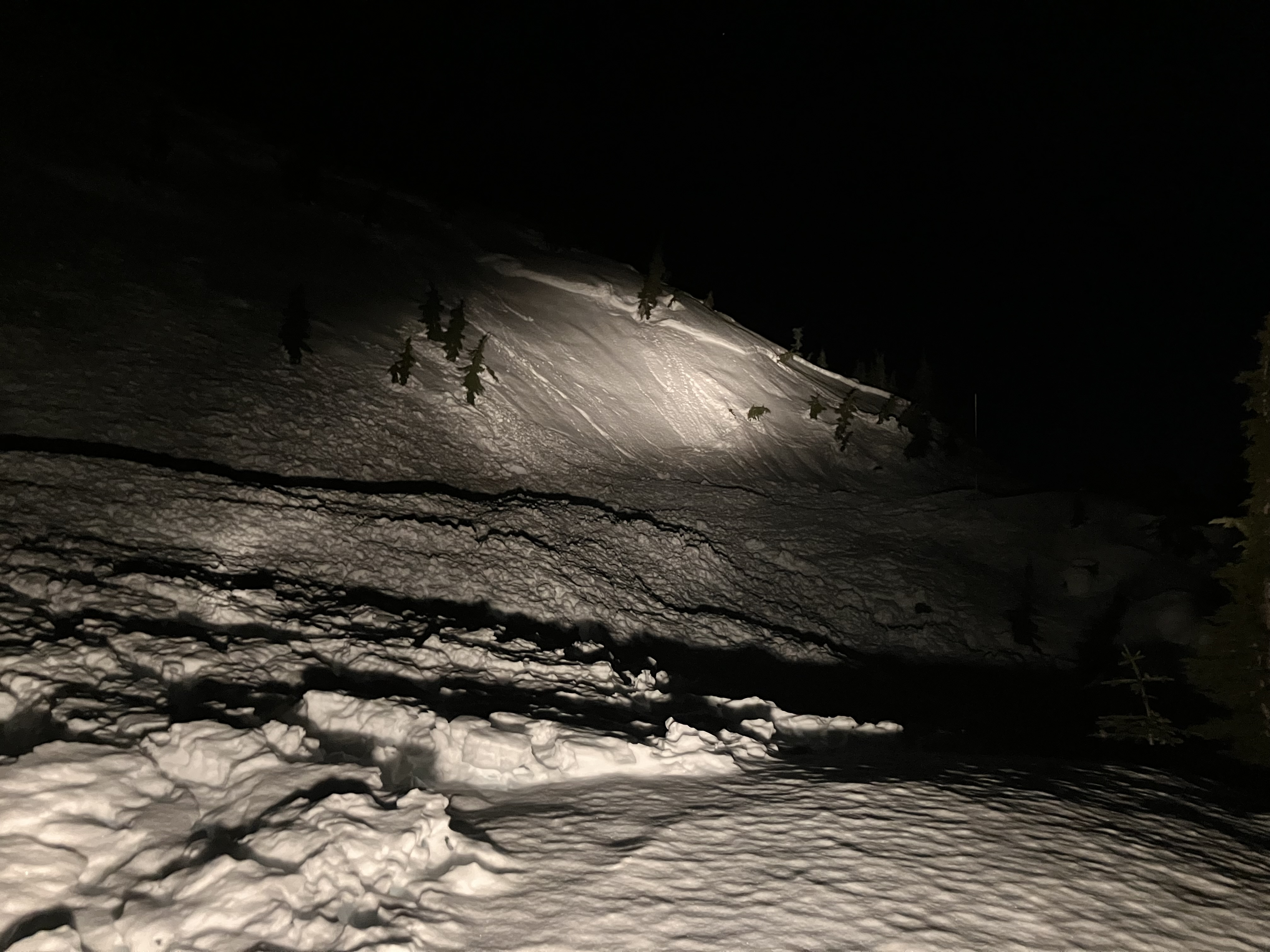 Observation photo