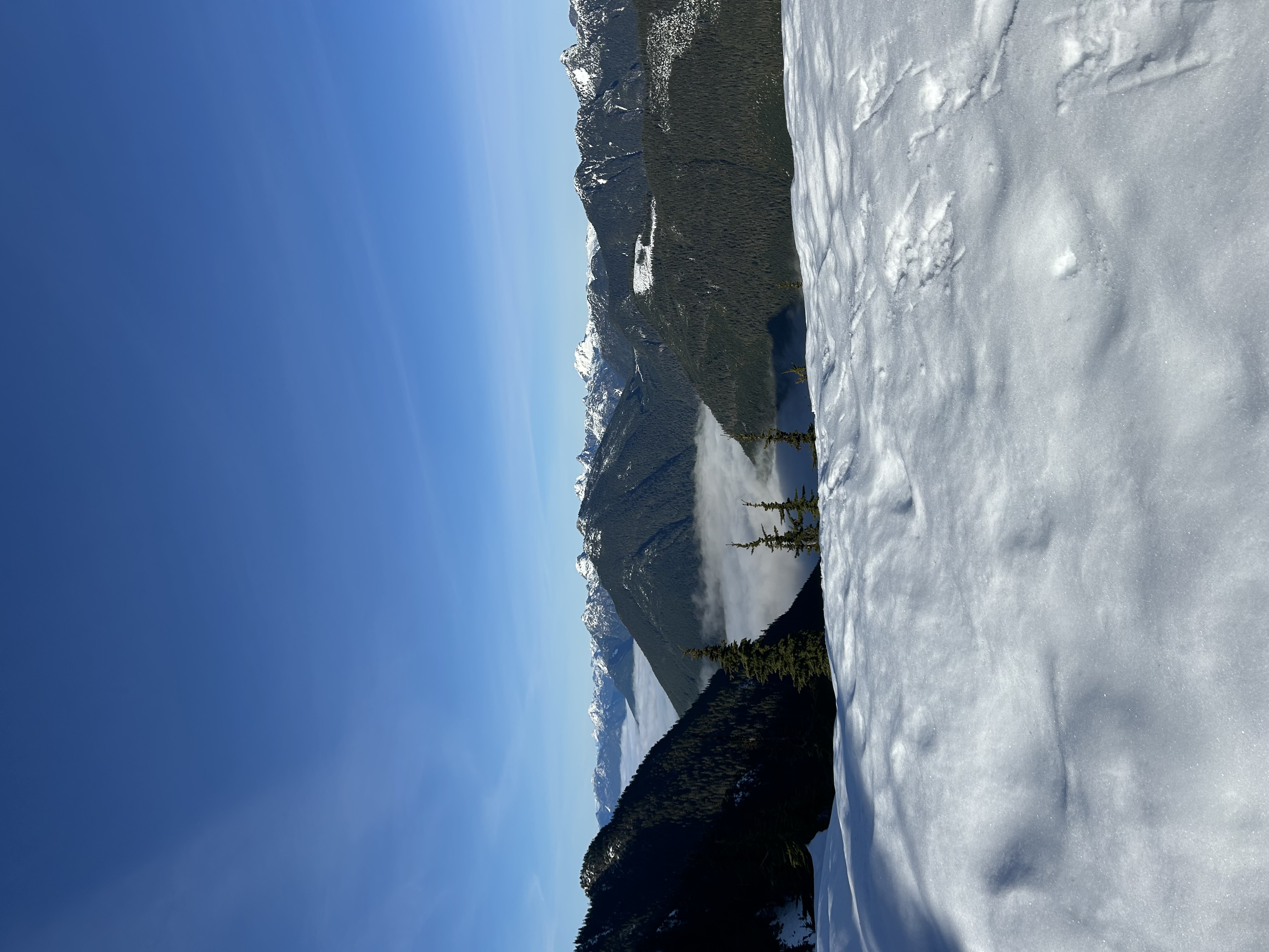 Observation photo