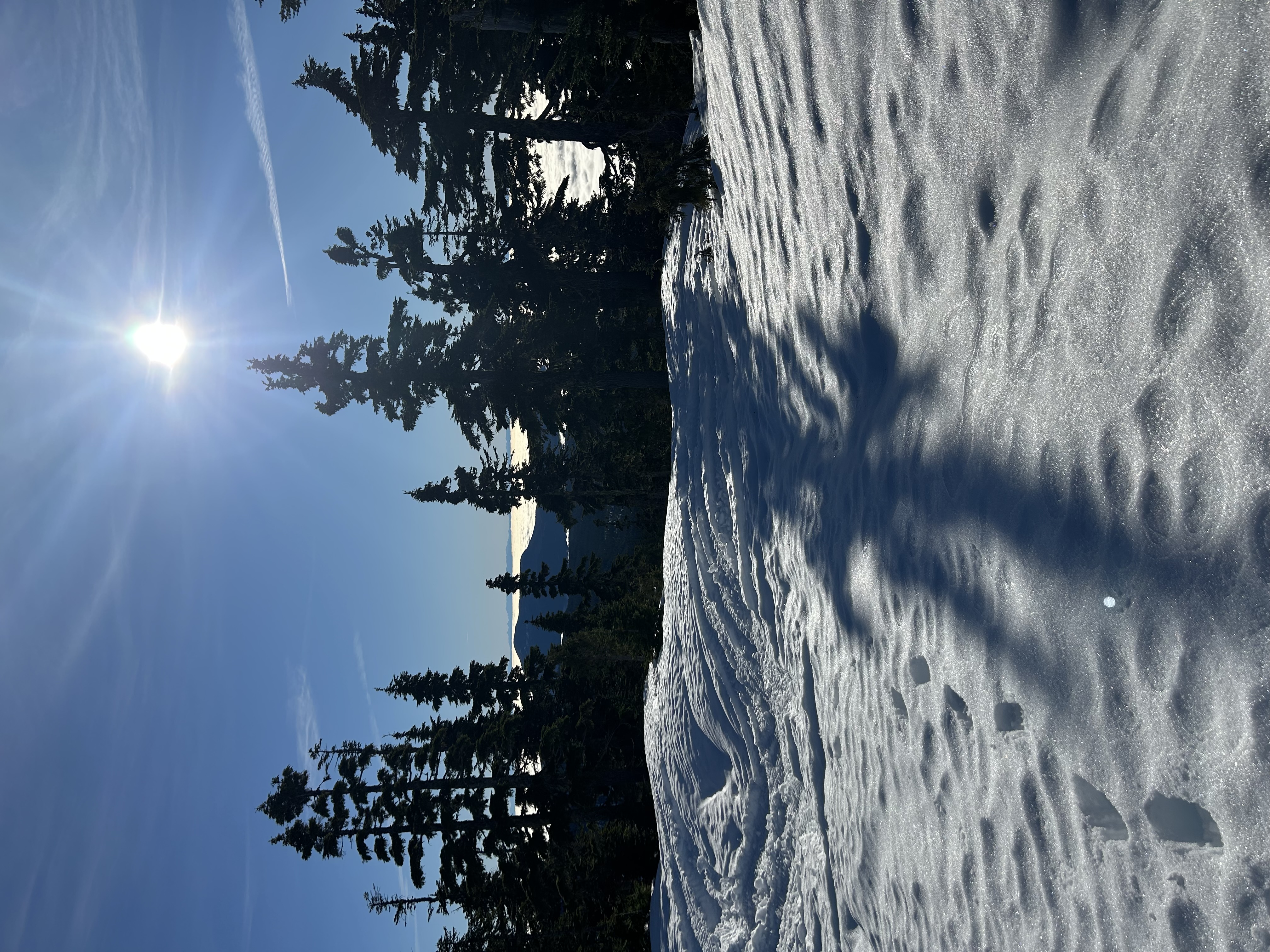 Observation photo