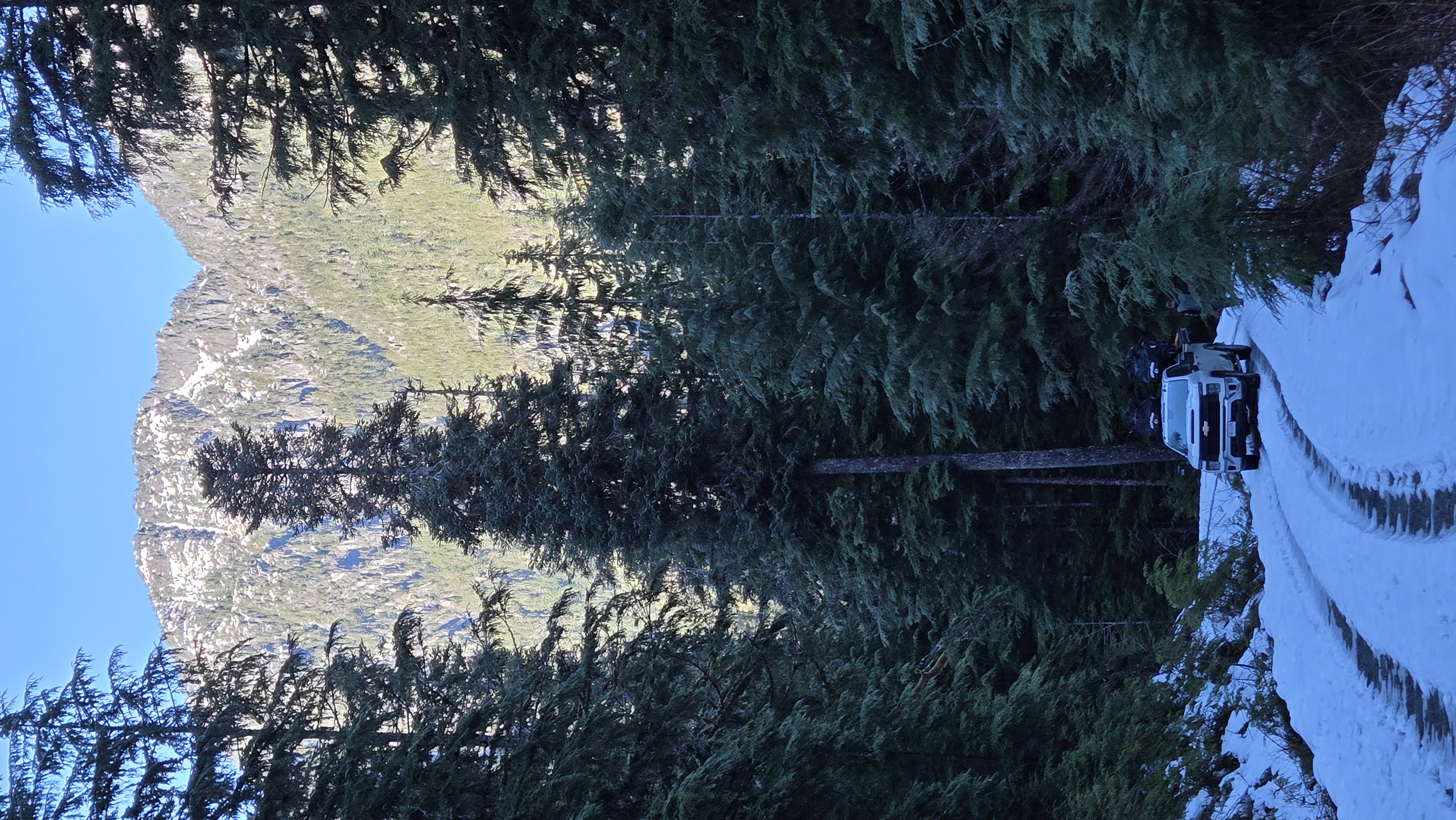 Observation photo