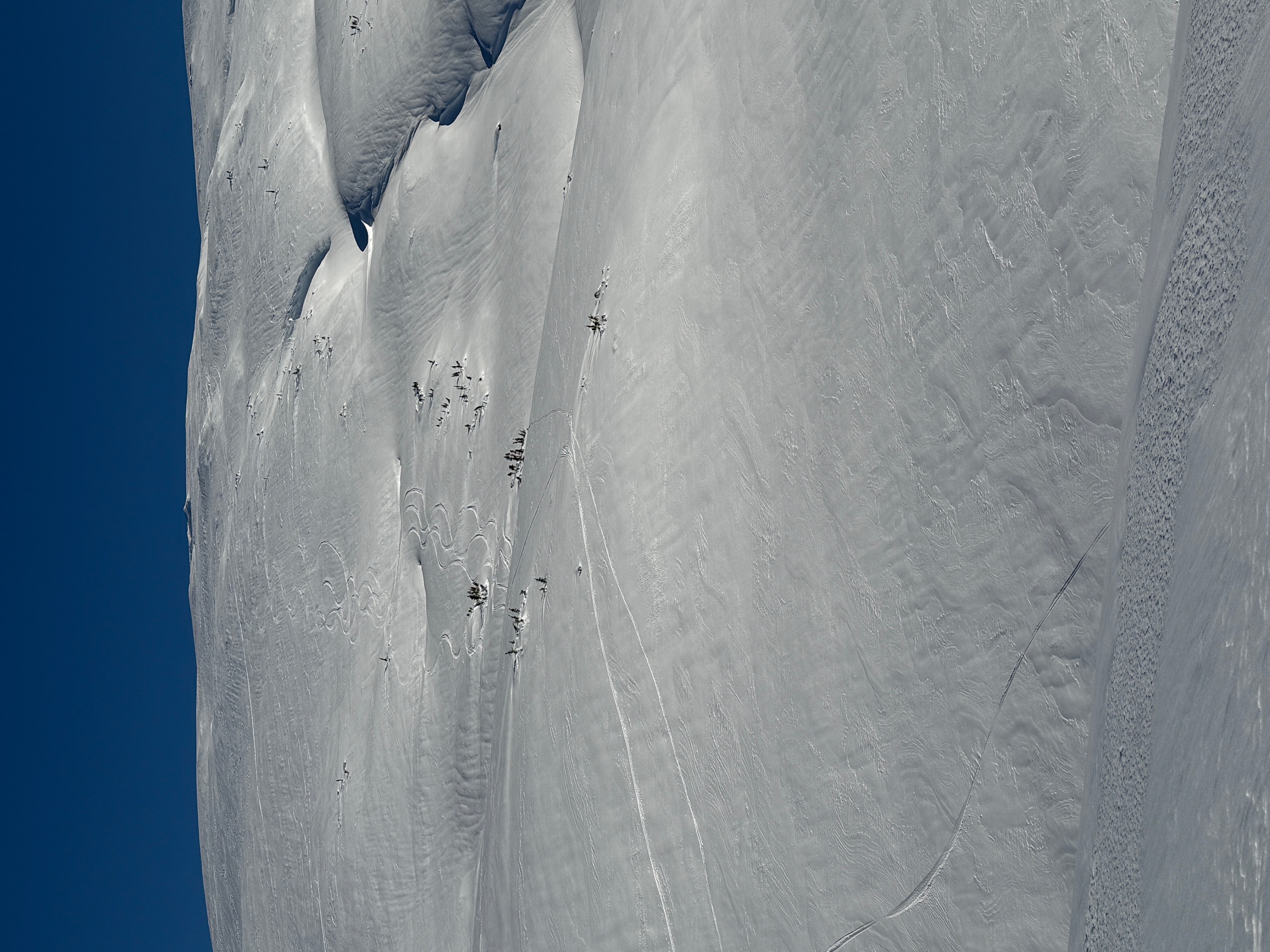 Observation photo