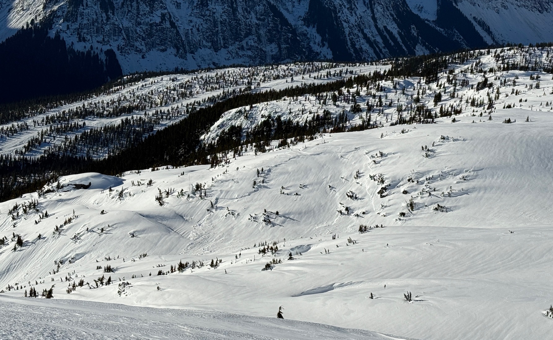Observation photo