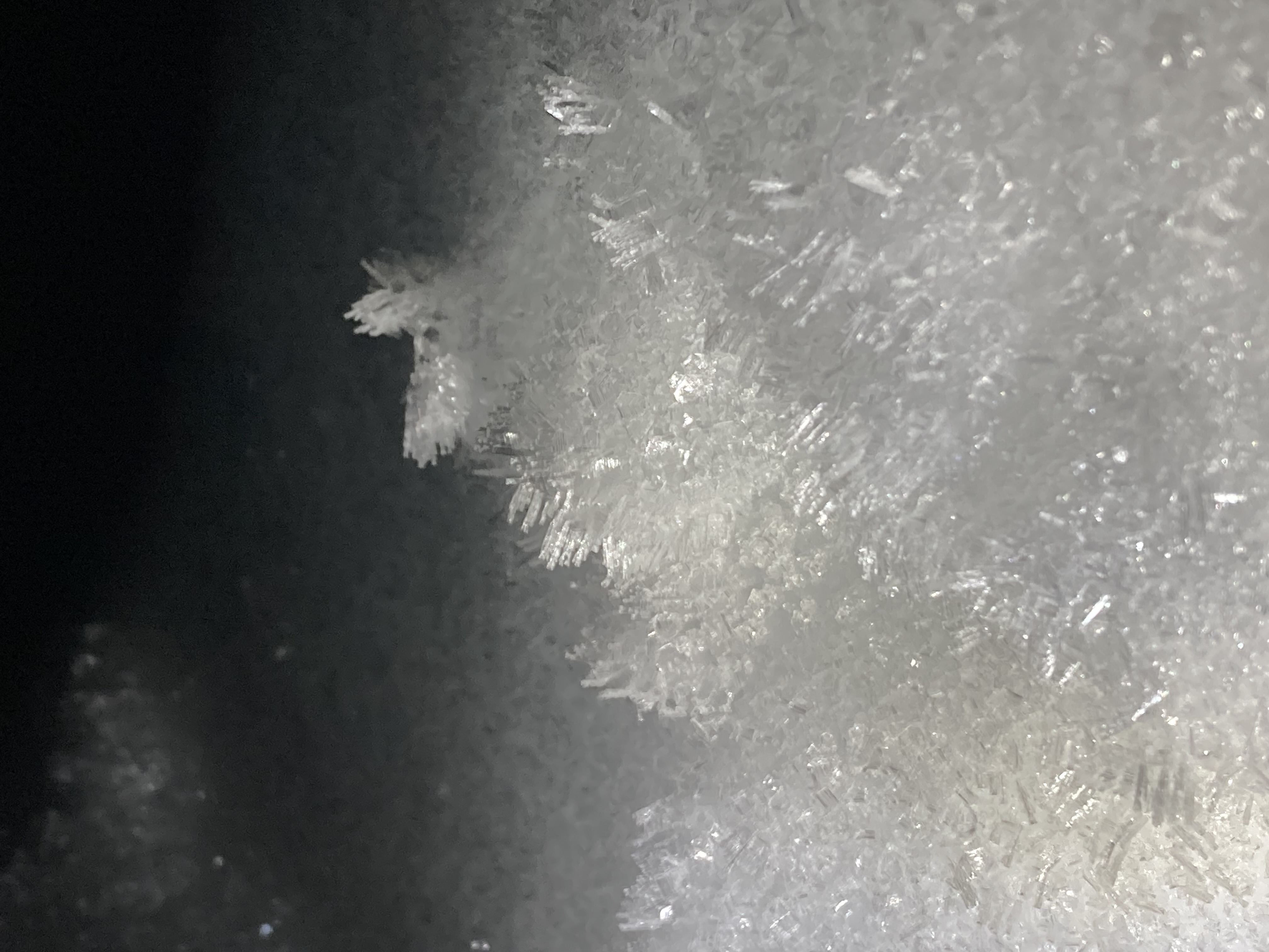 Observation photo