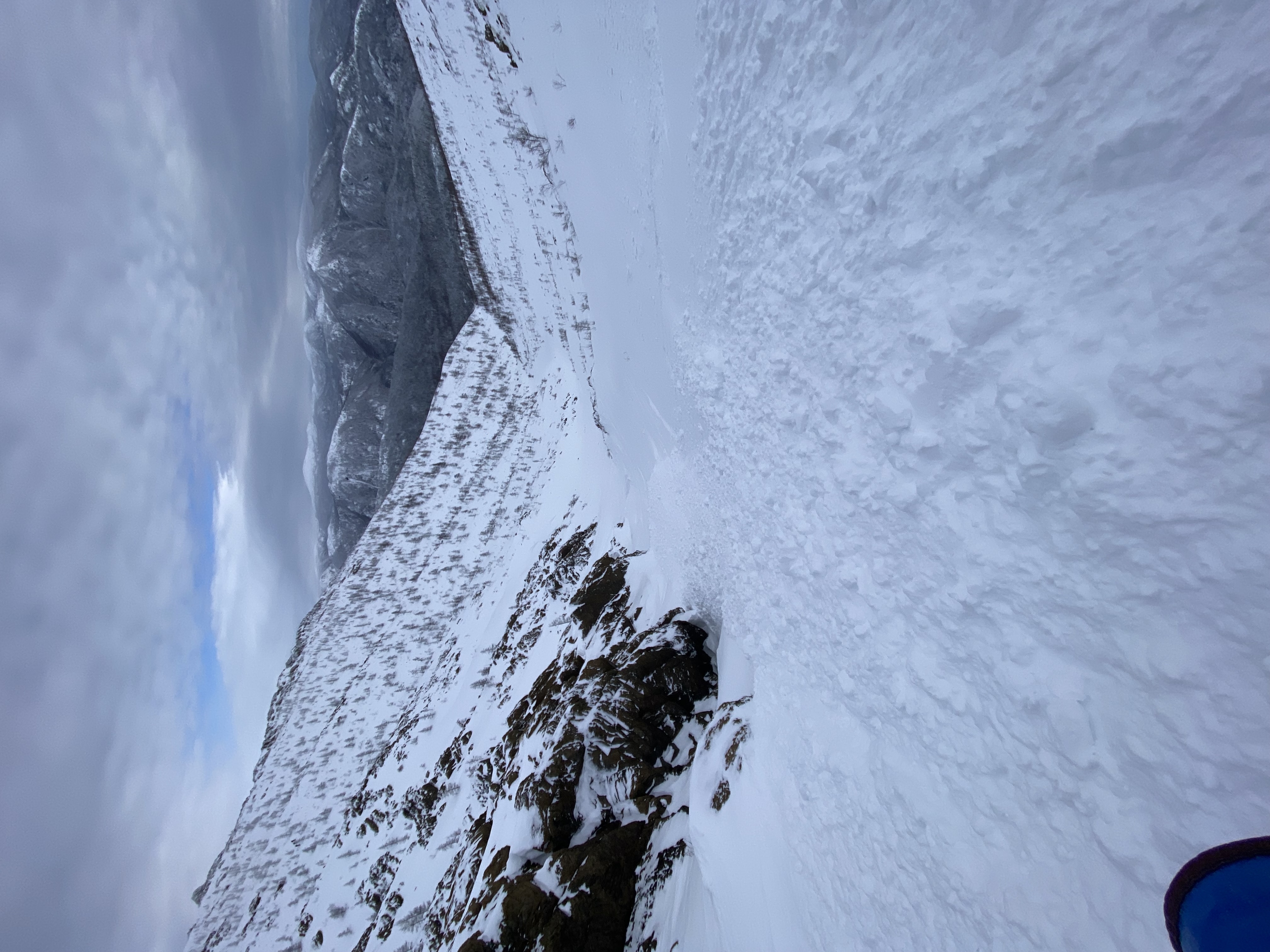 Observation photo