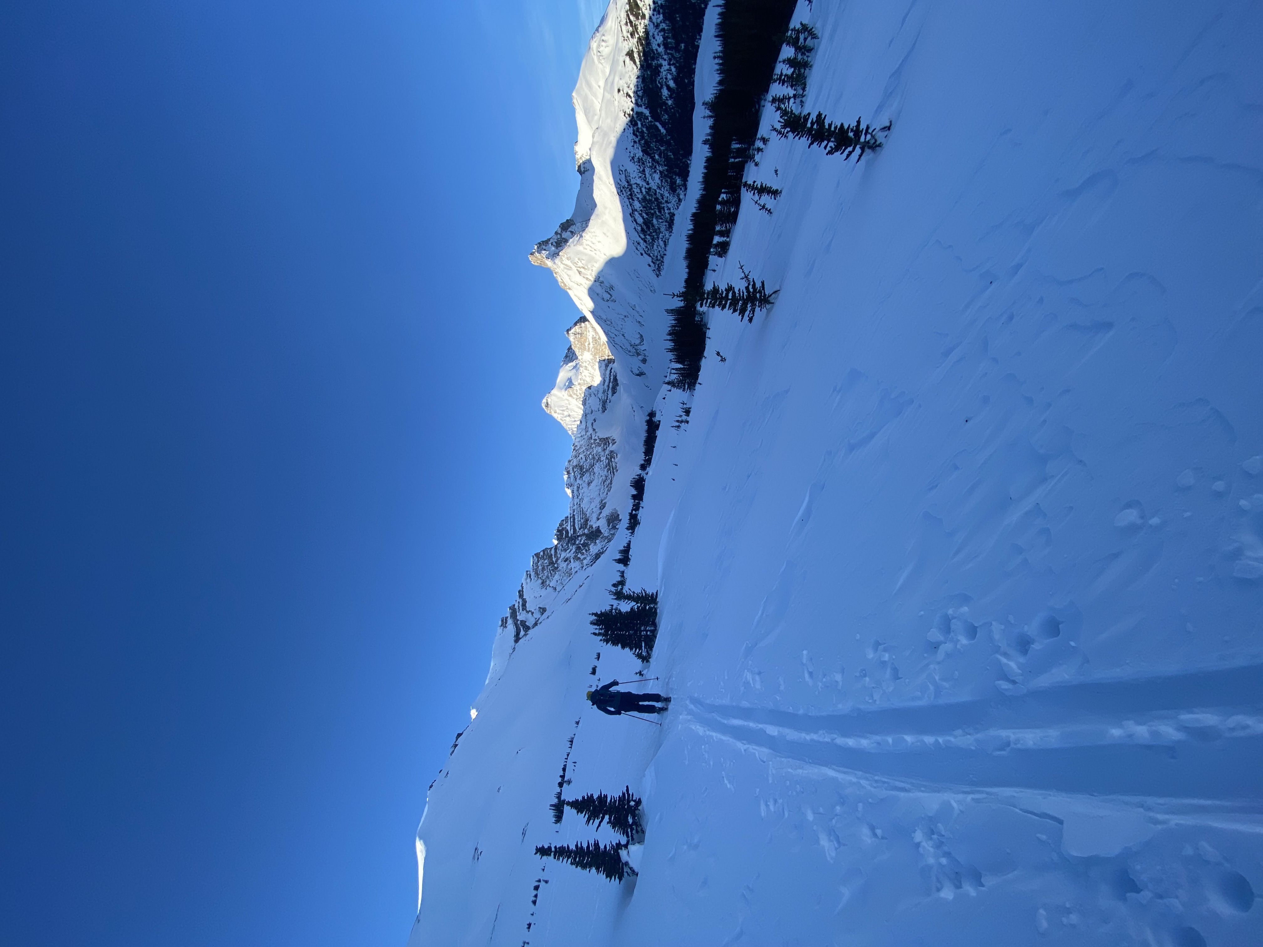 Observation photo
