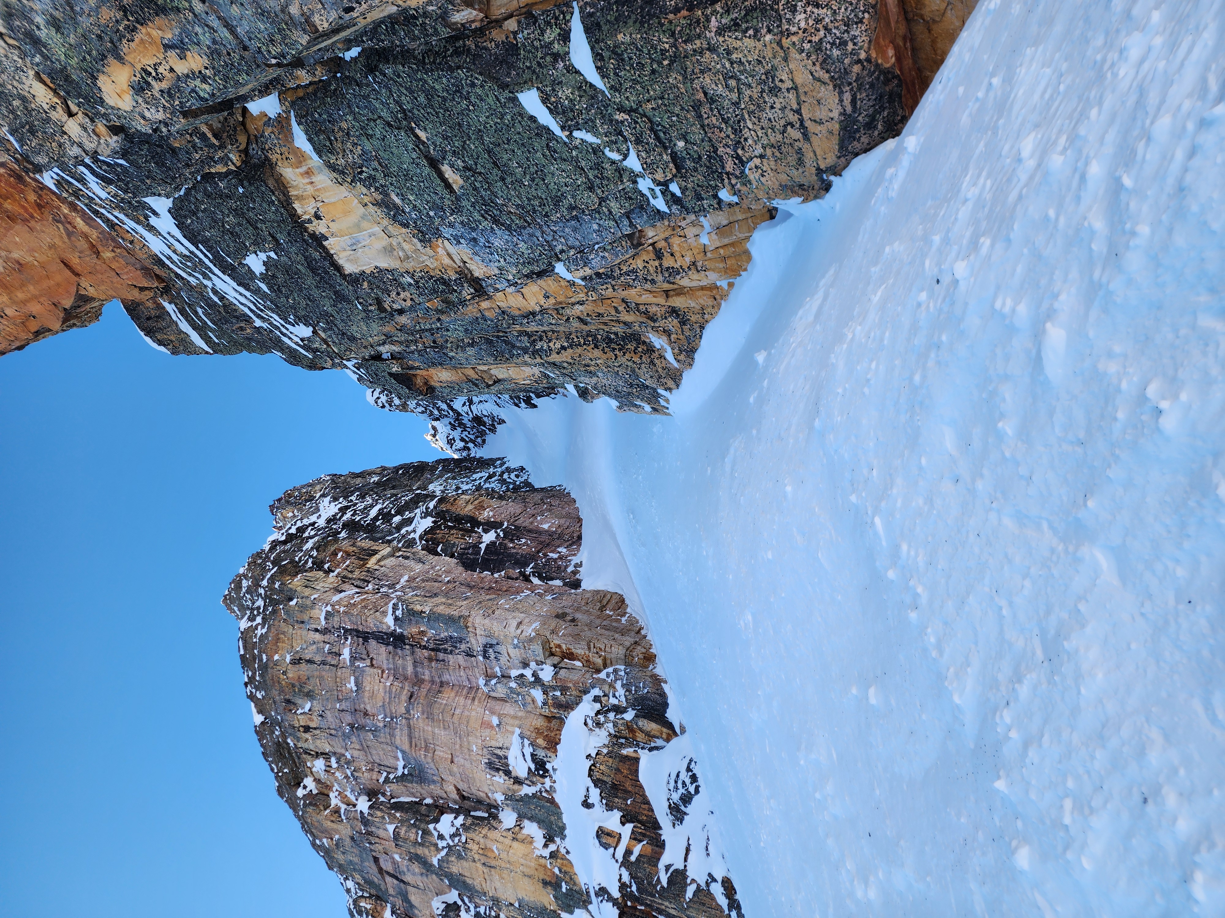 Observation photo