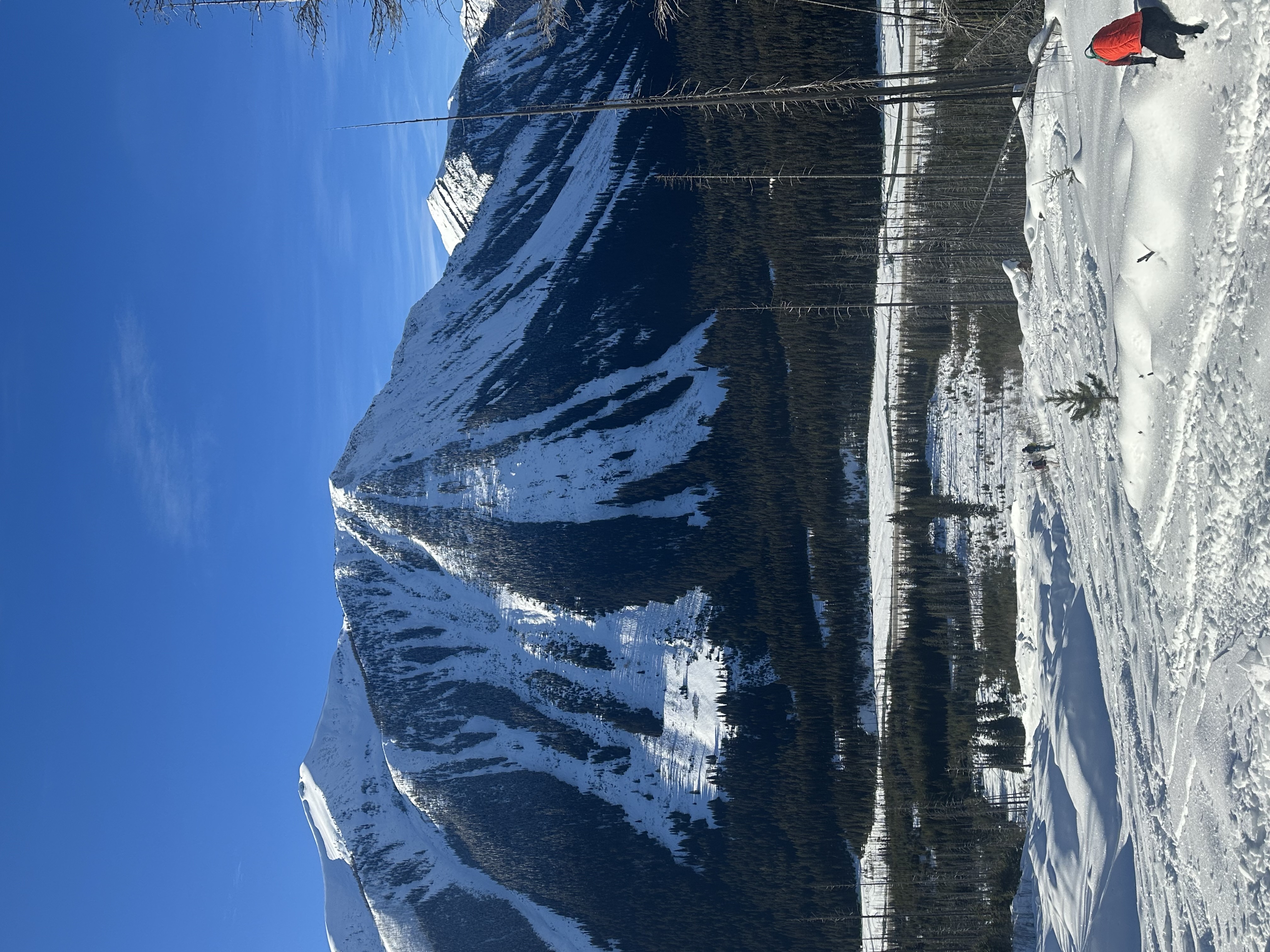 Observation photo