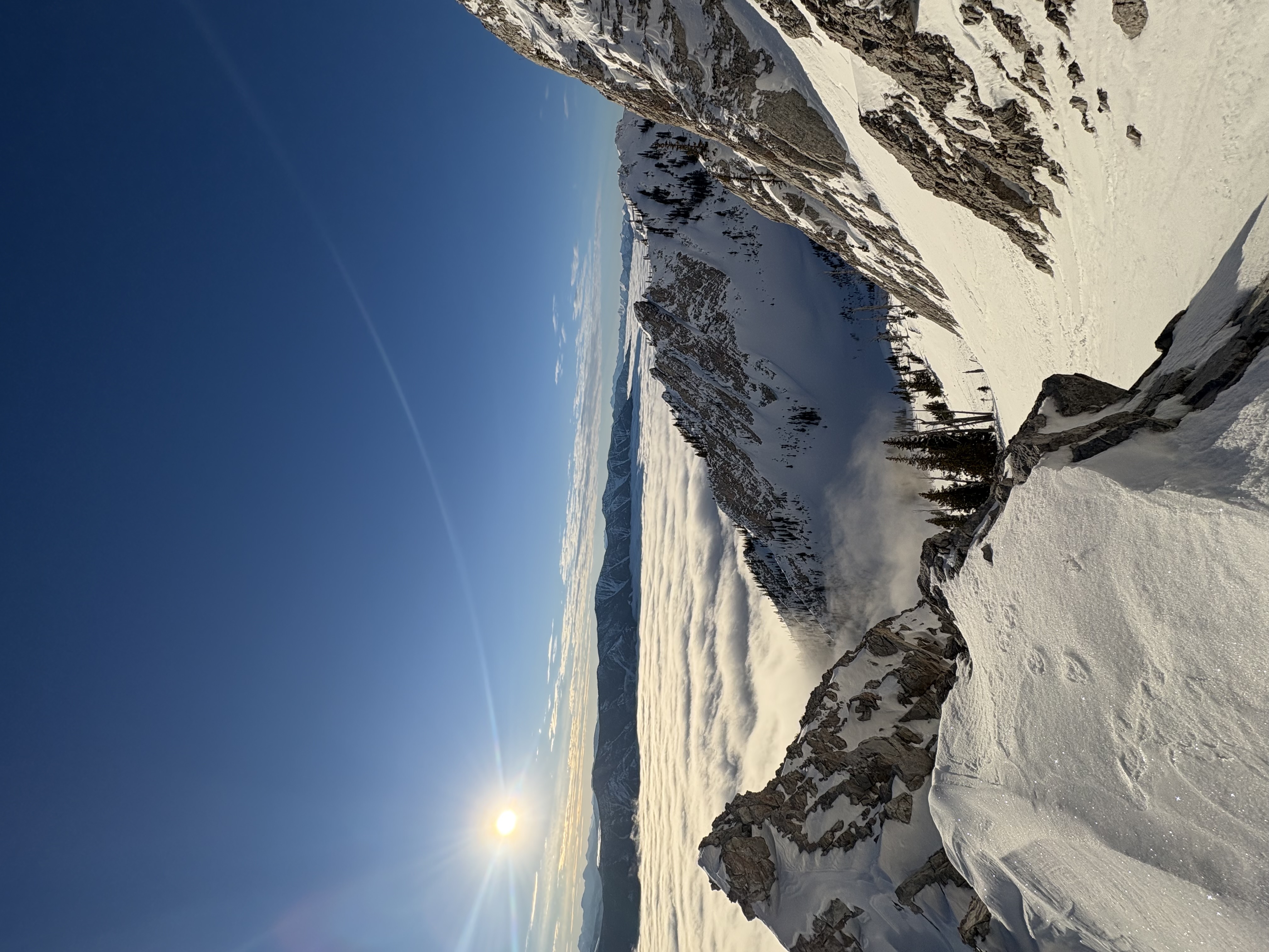 Observation photo