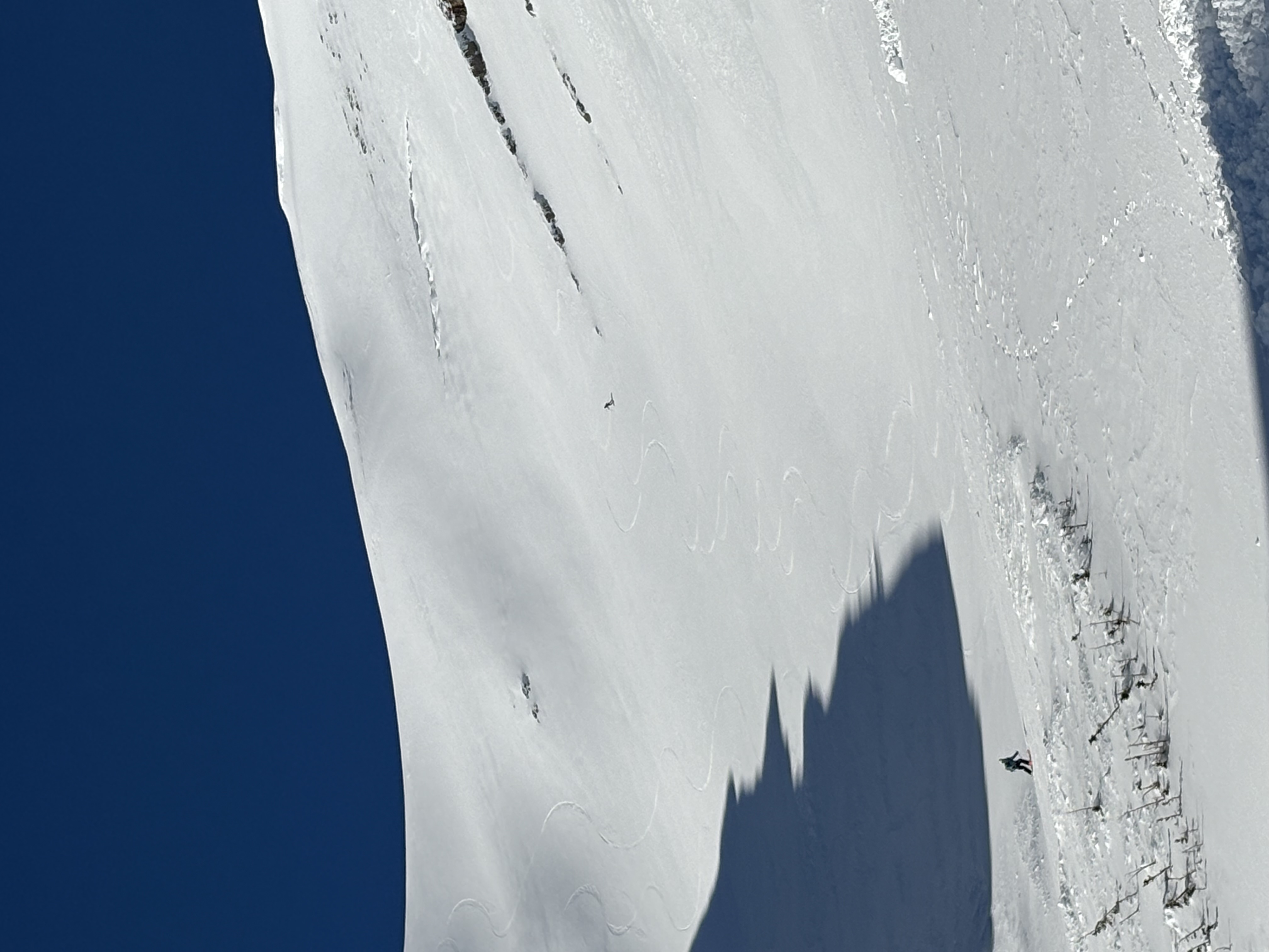 Observation photo