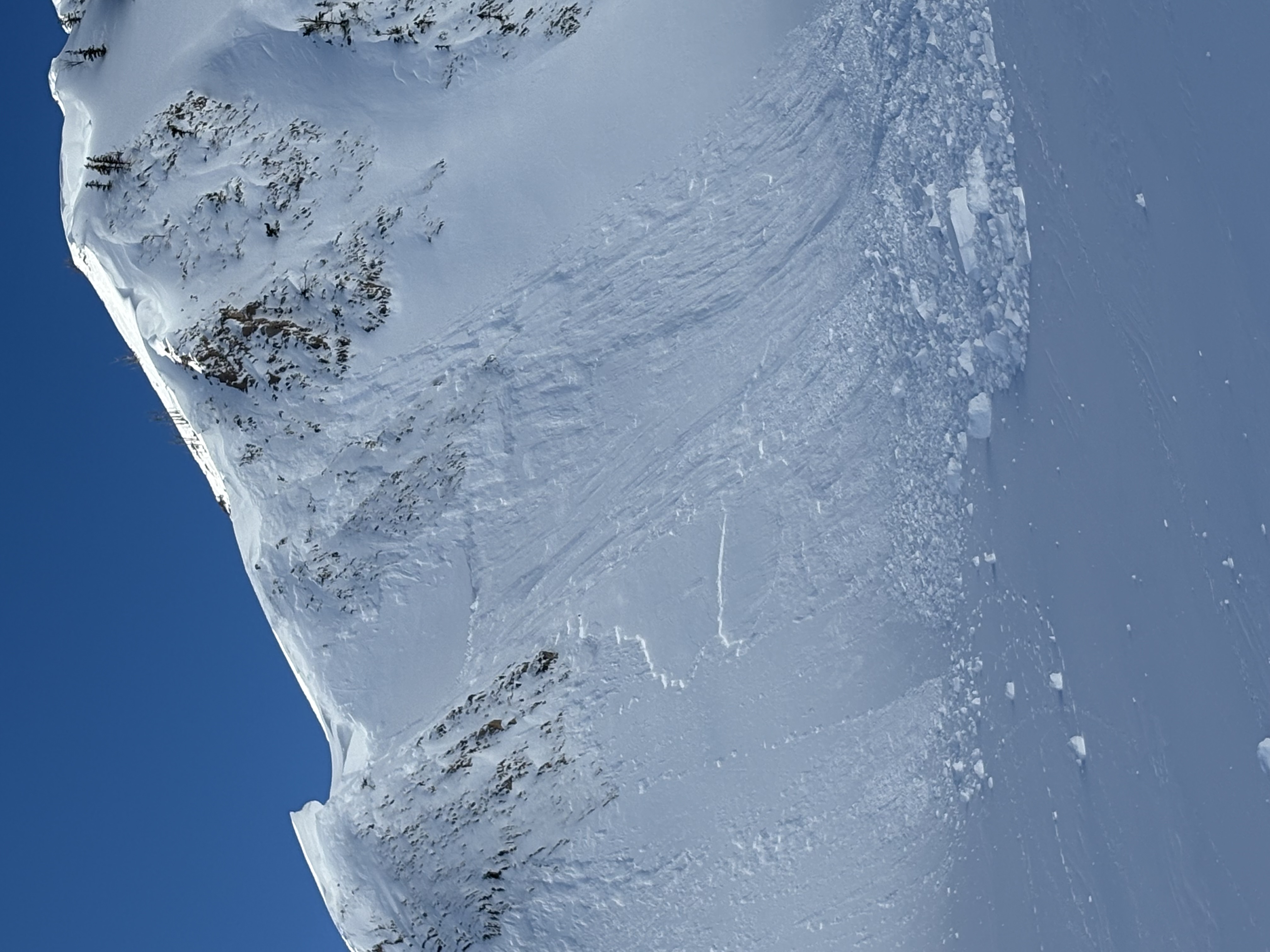 Observation photo