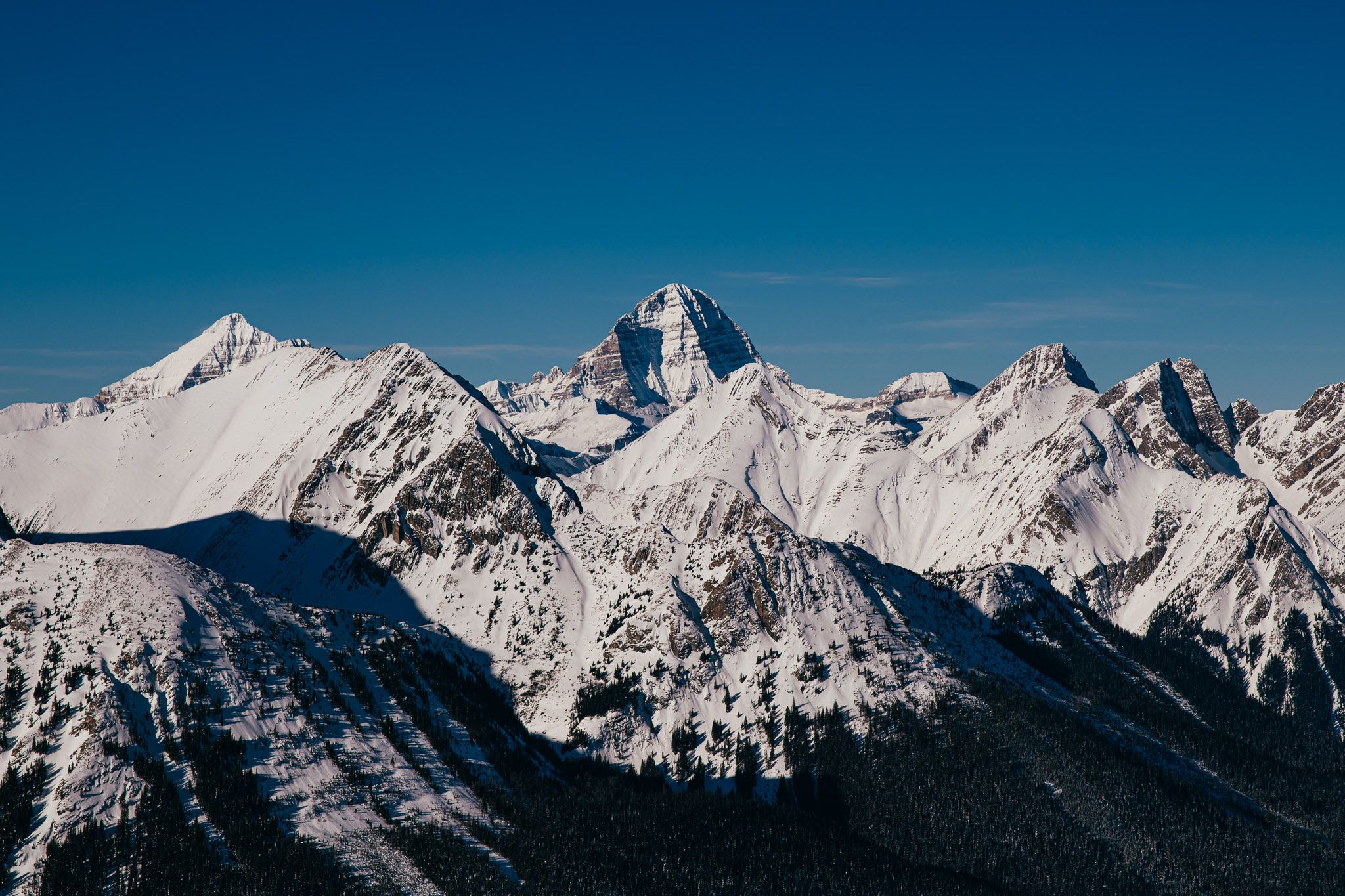 Observation photo
