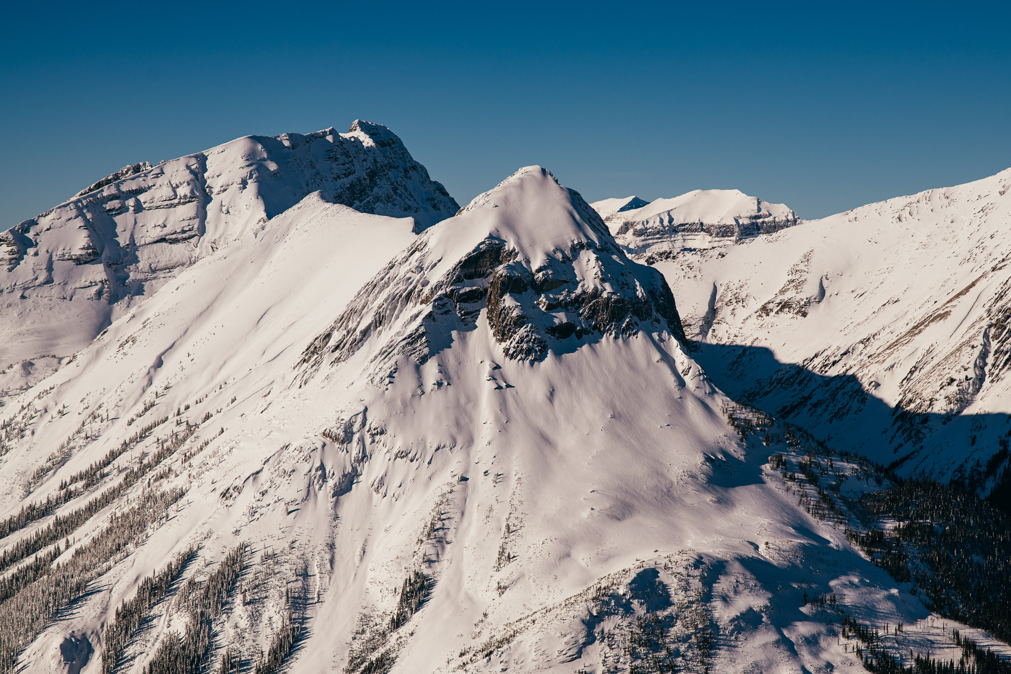 Observation photo
