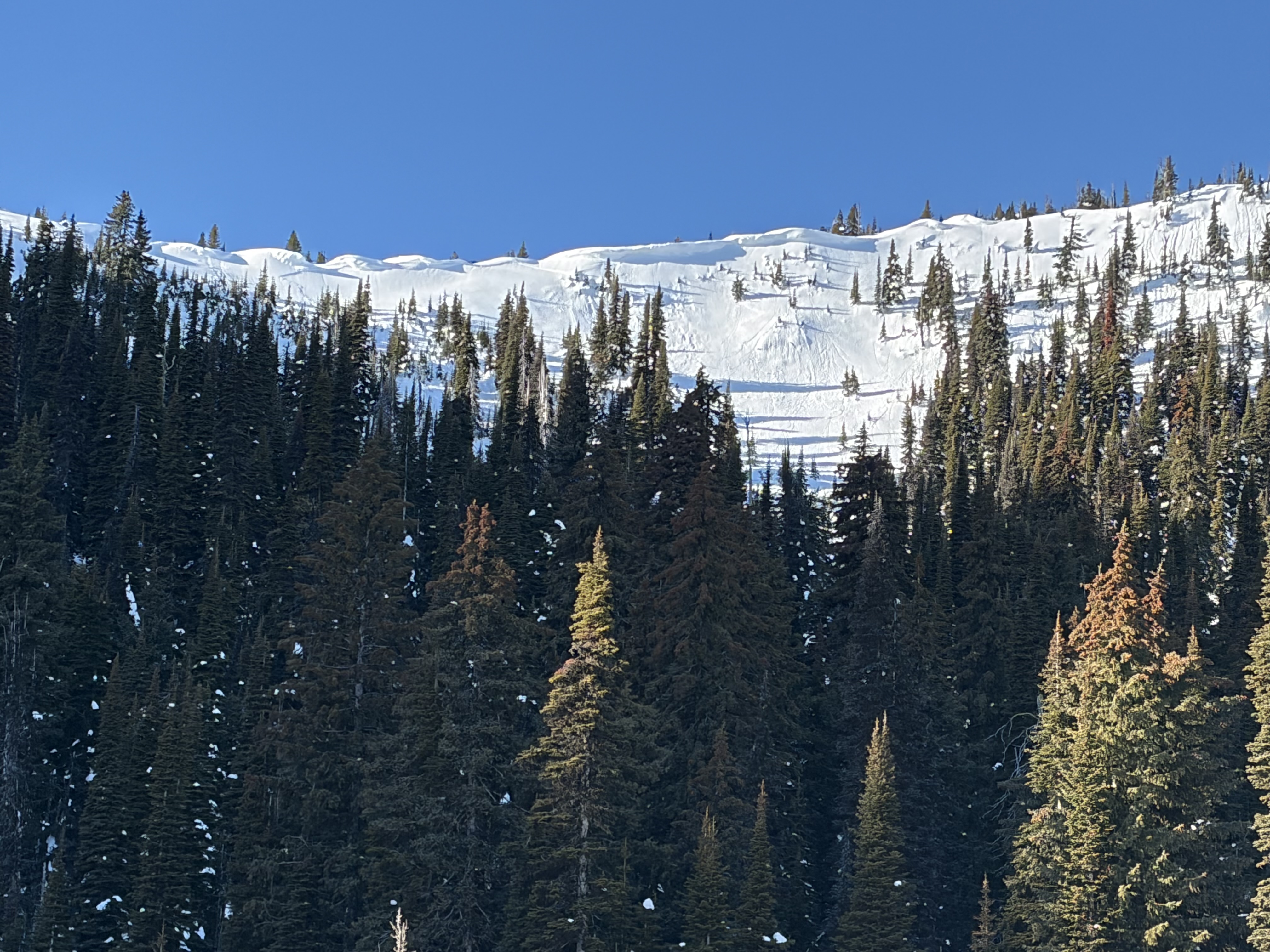 Observation photo