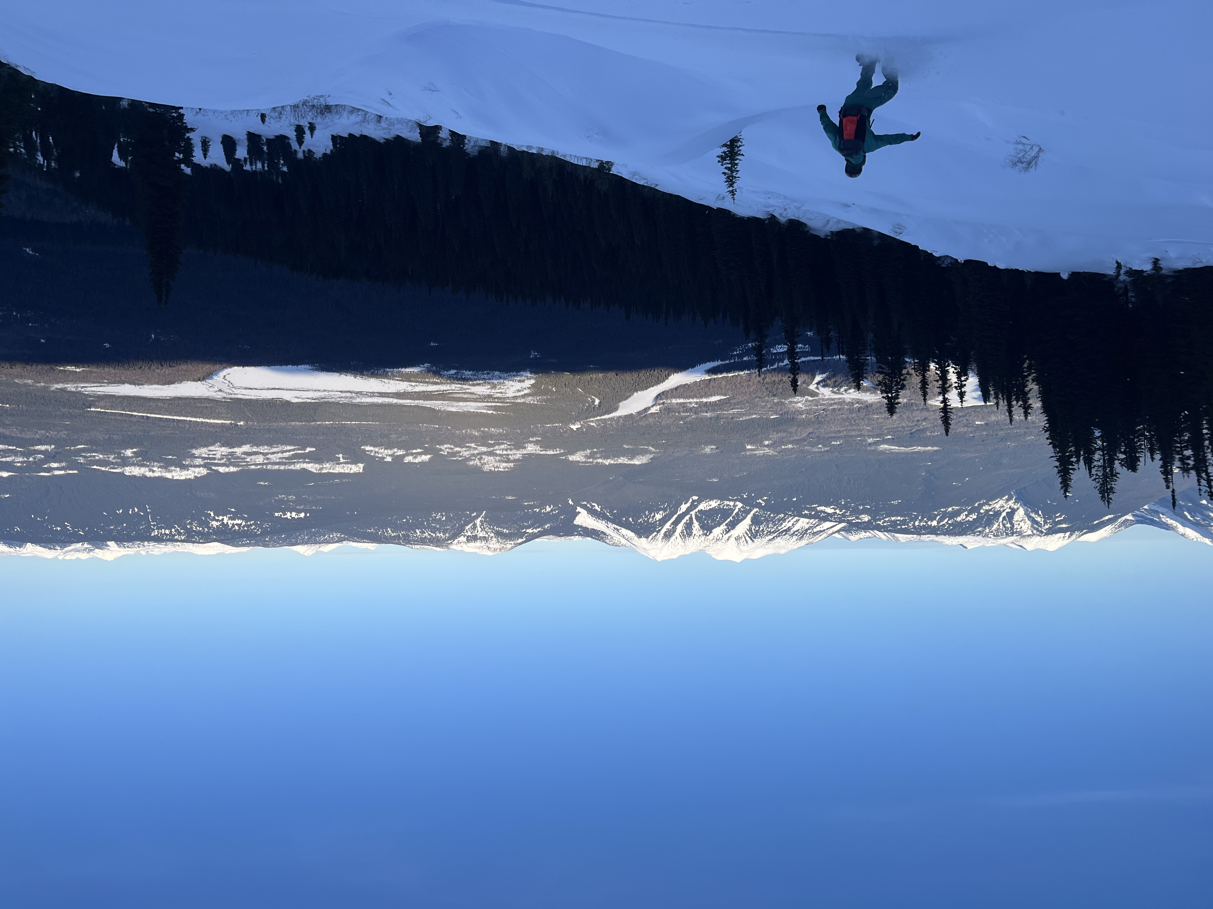 Observation photo