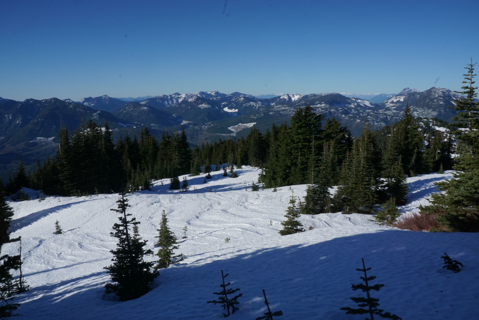 Observation photo