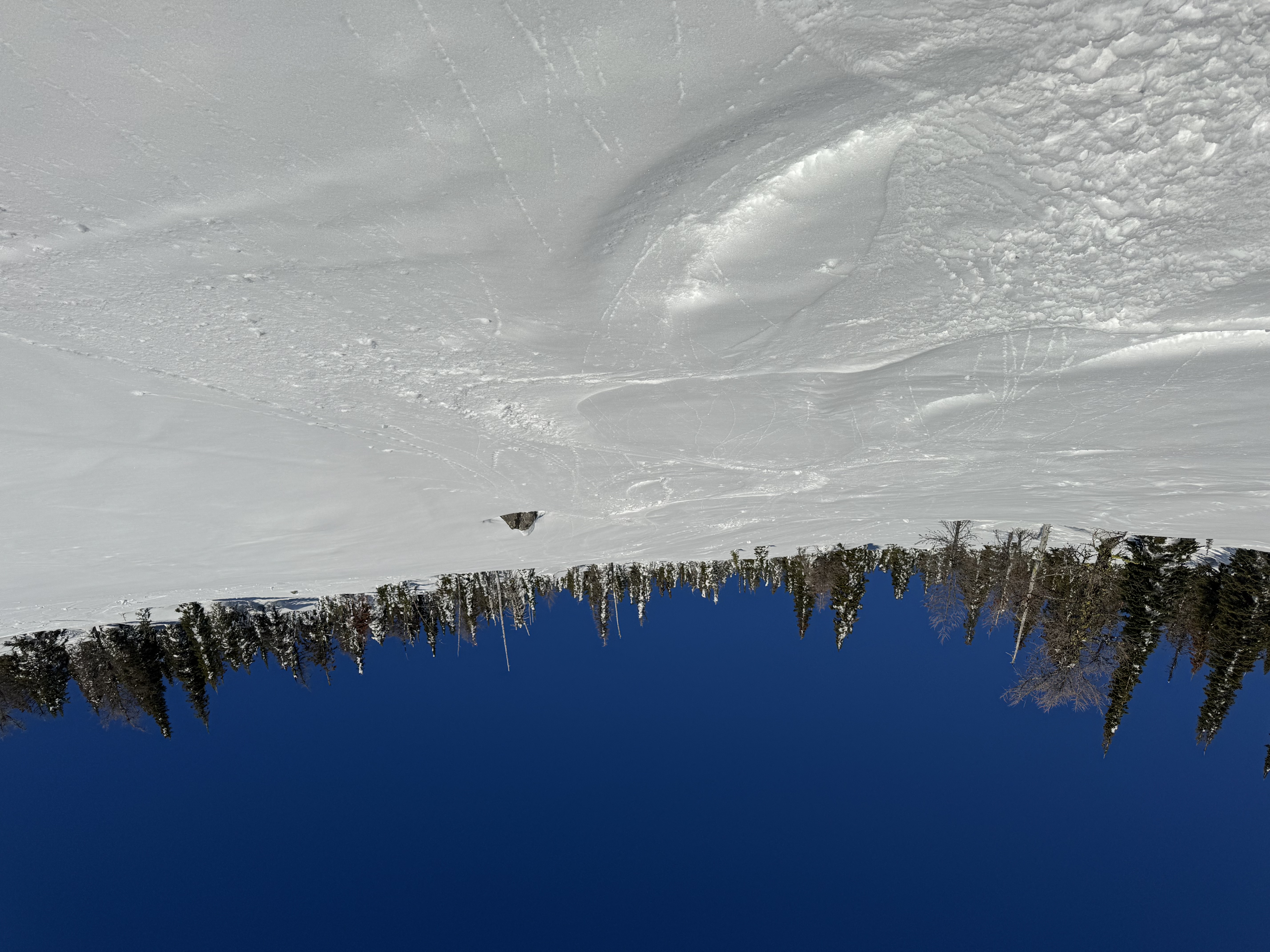 Observation photo