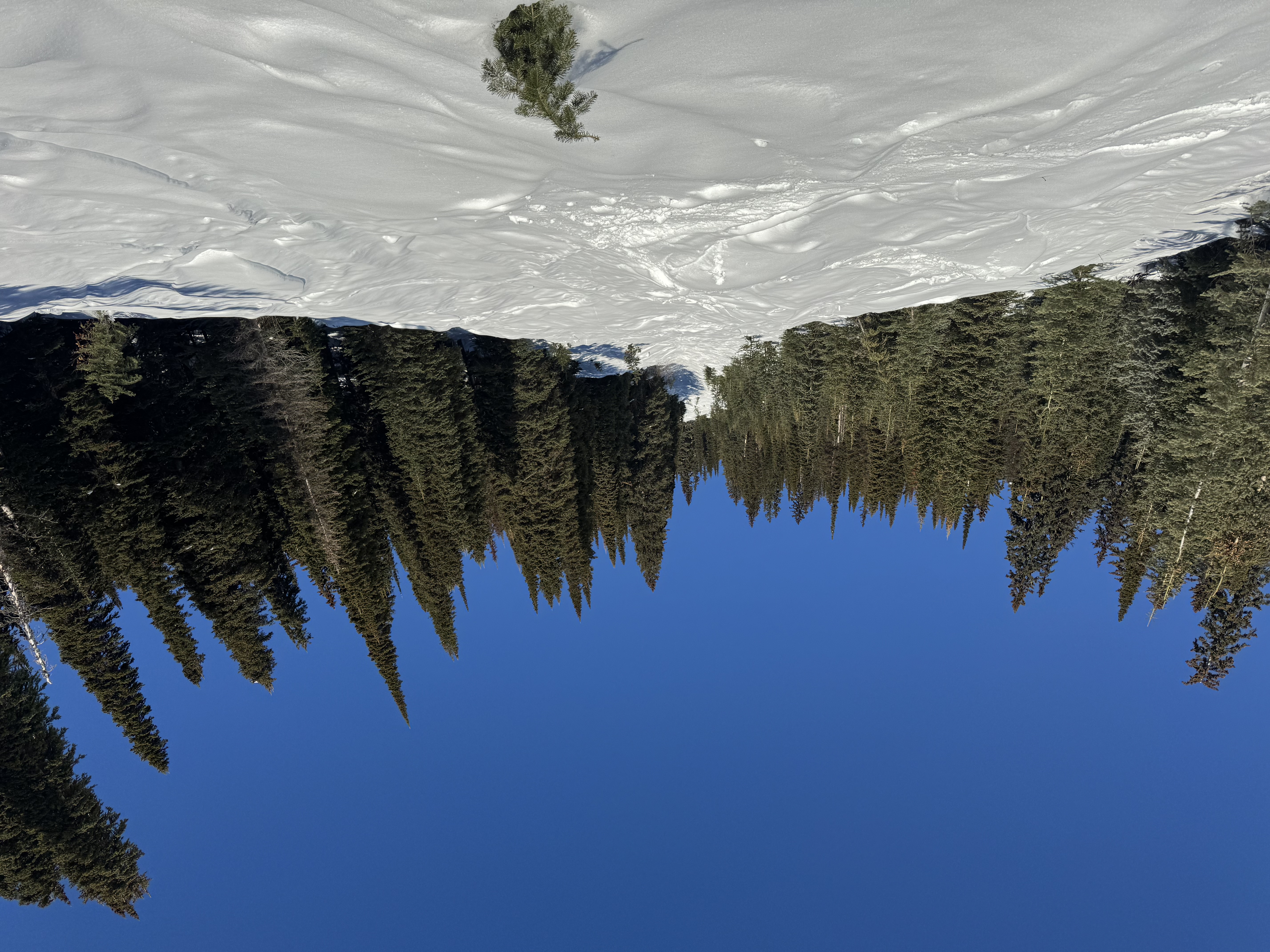 Observation photo