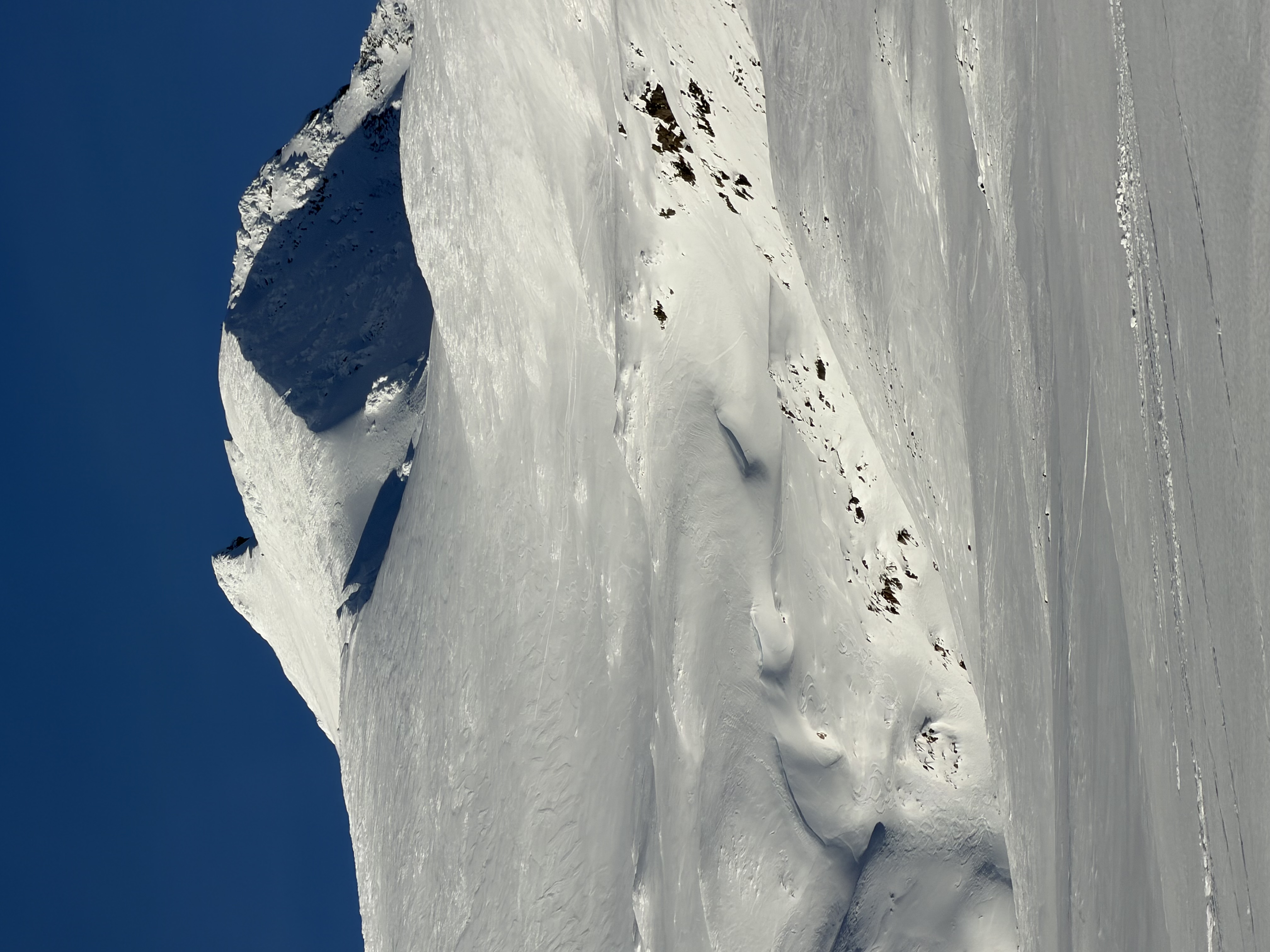 Observation photo