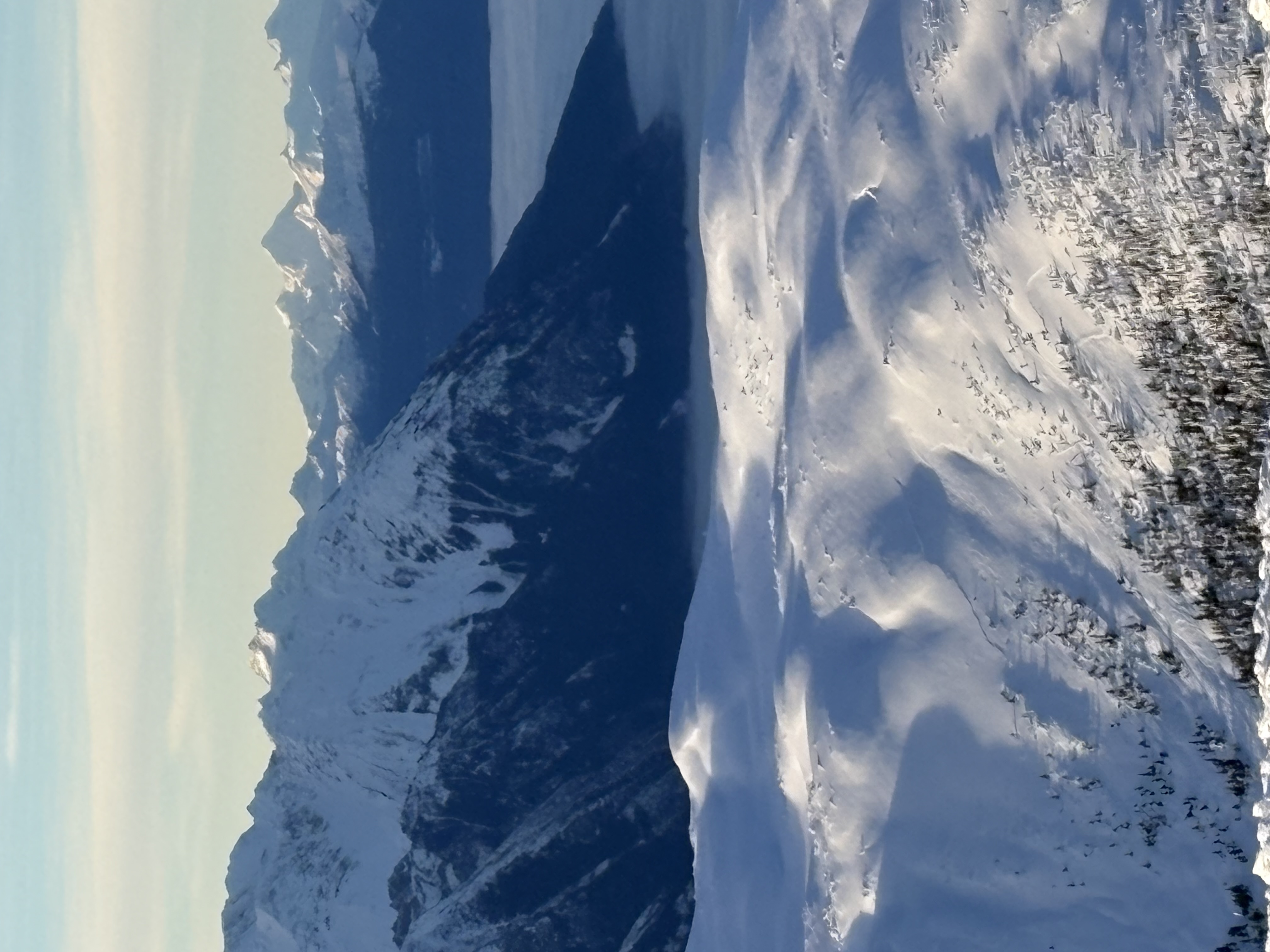 Observation photo