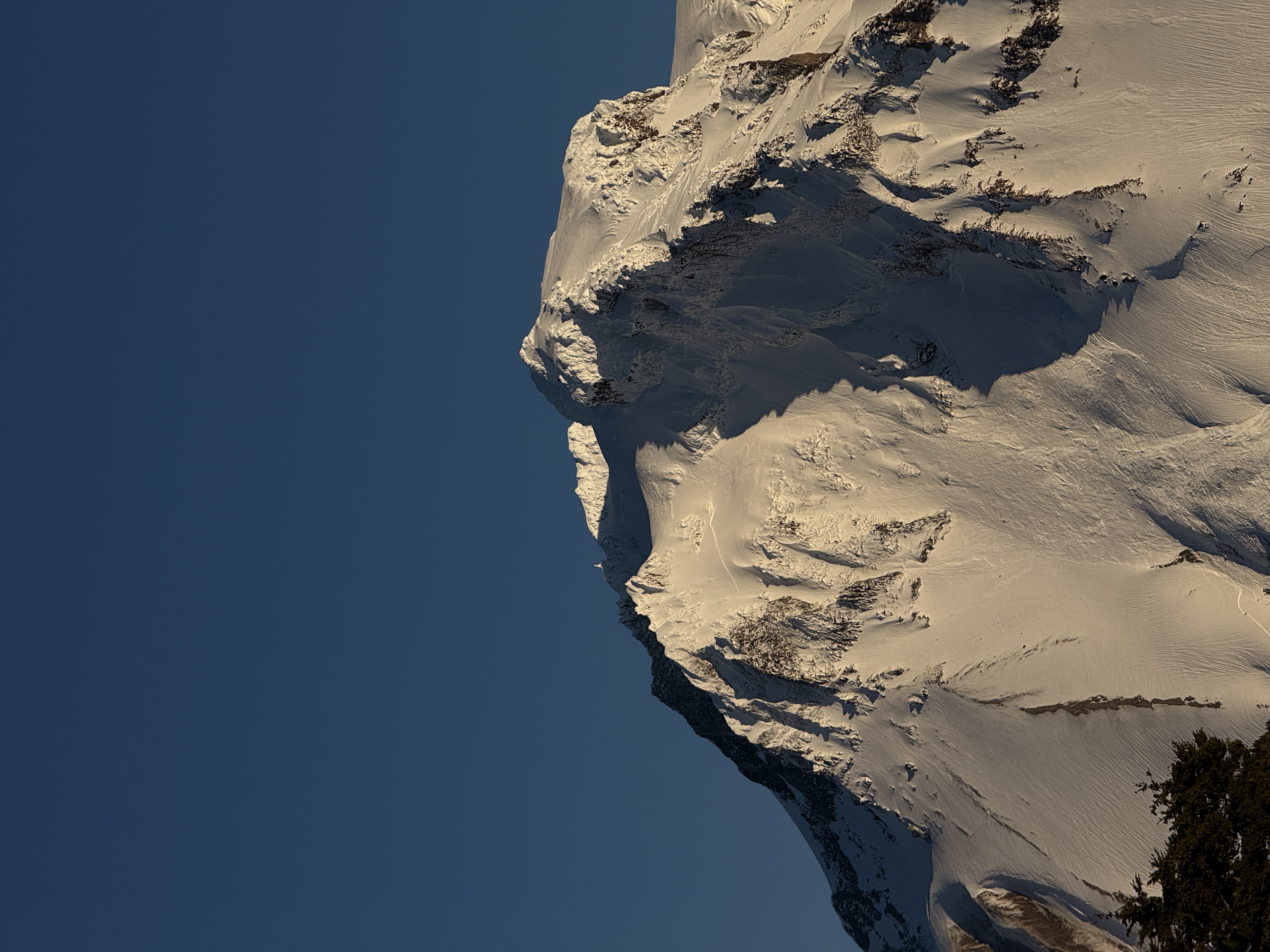 Observation photo