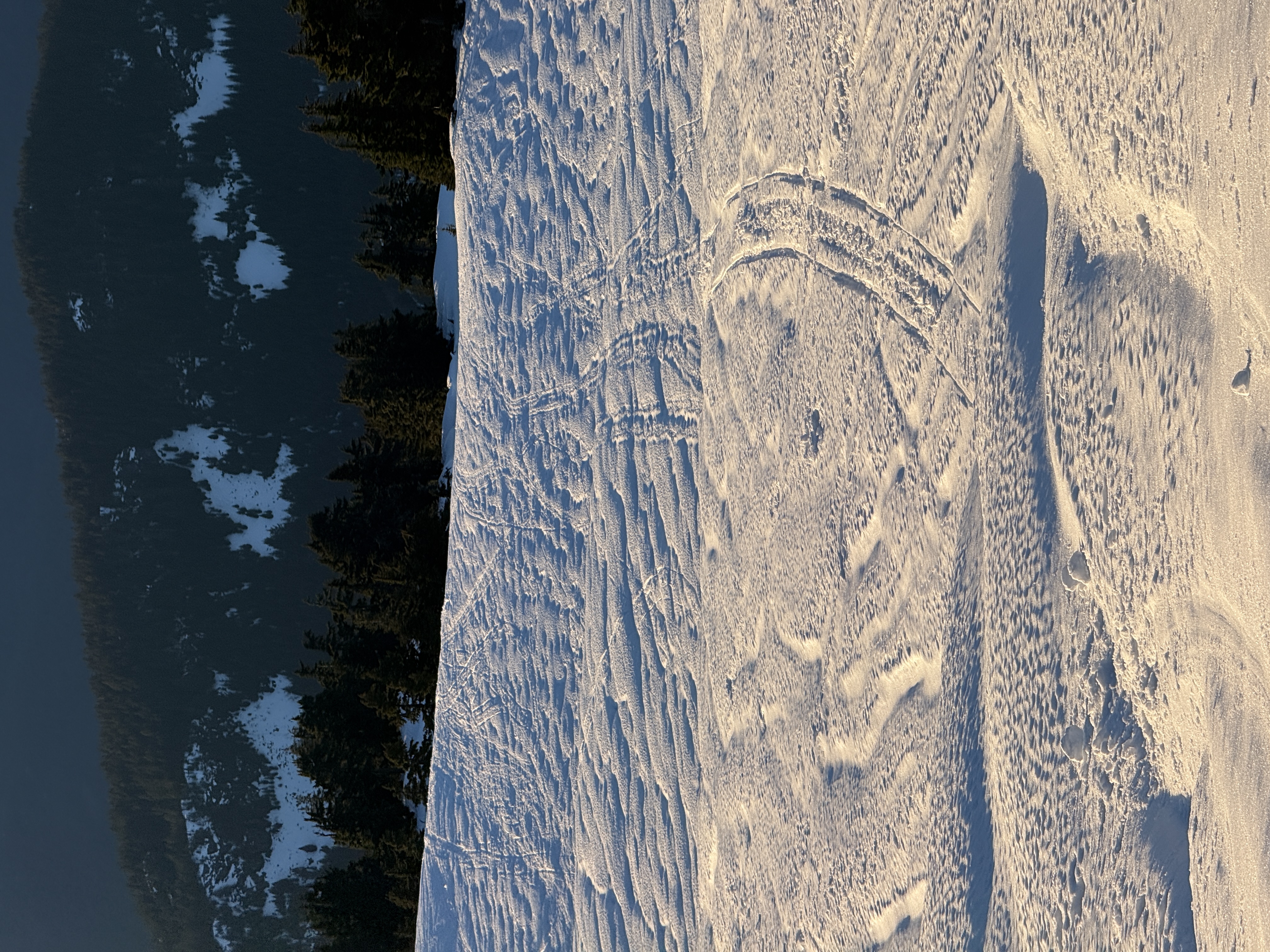 Observation photo