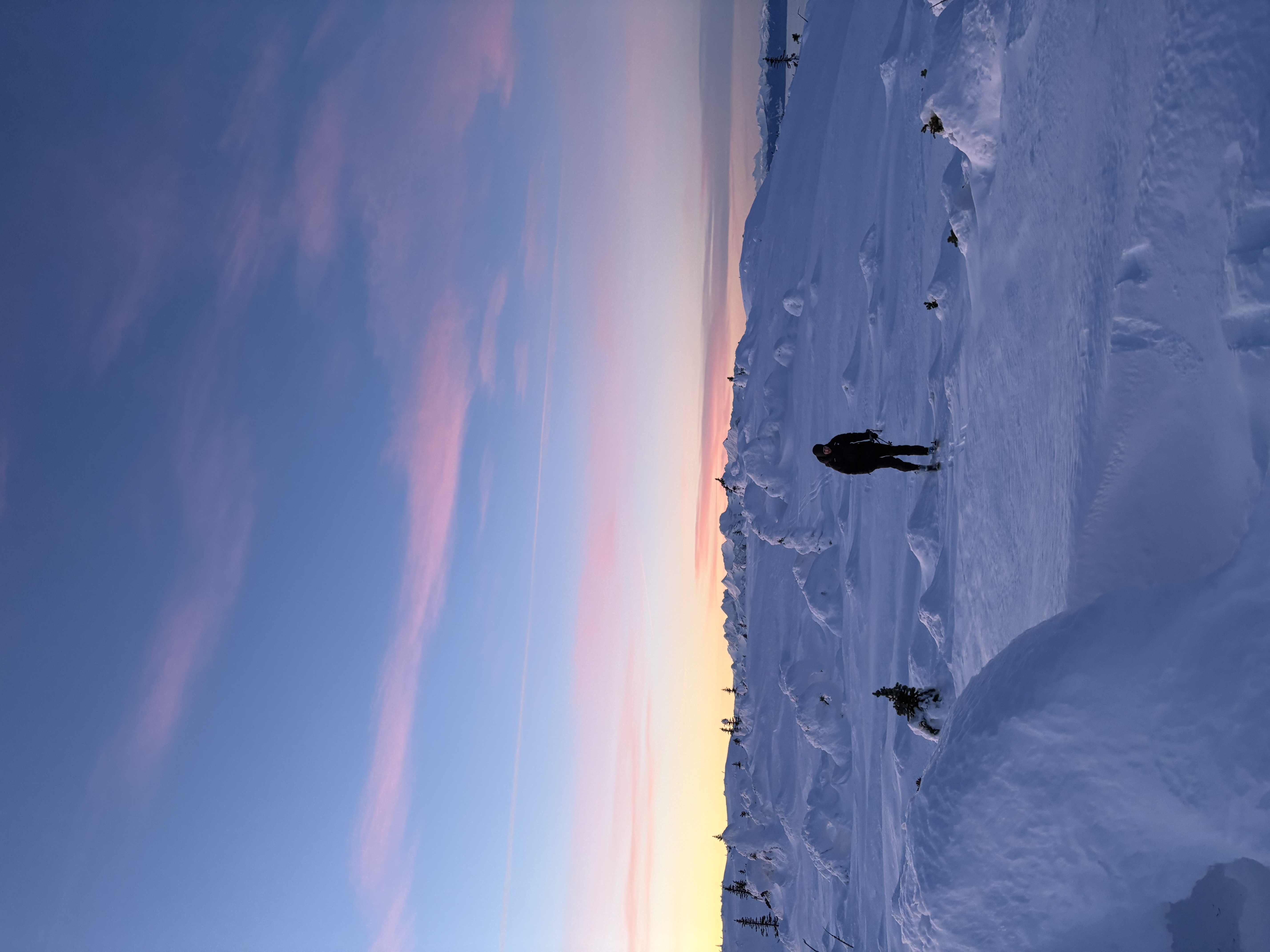 Observation photo