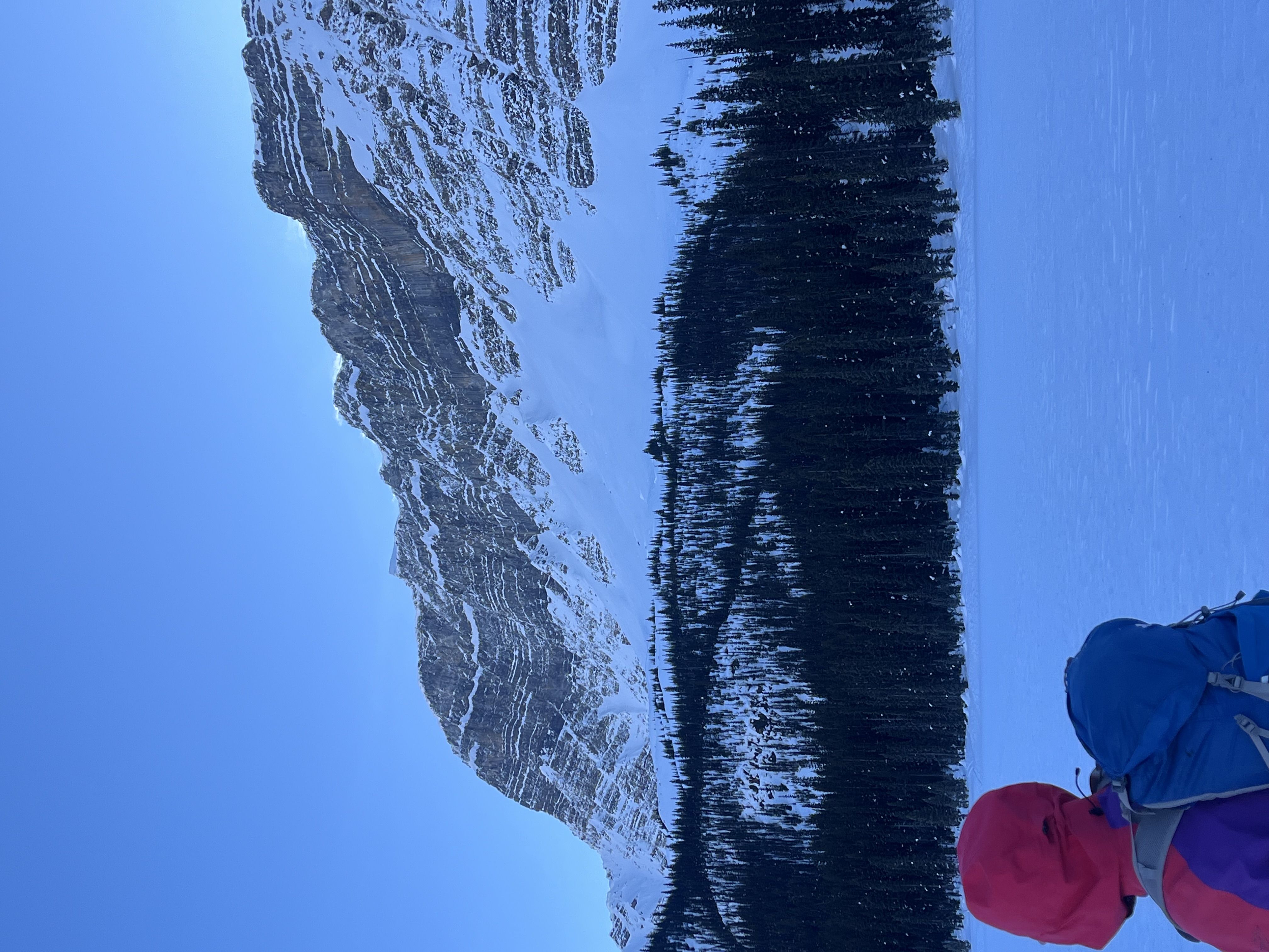 Observation photo